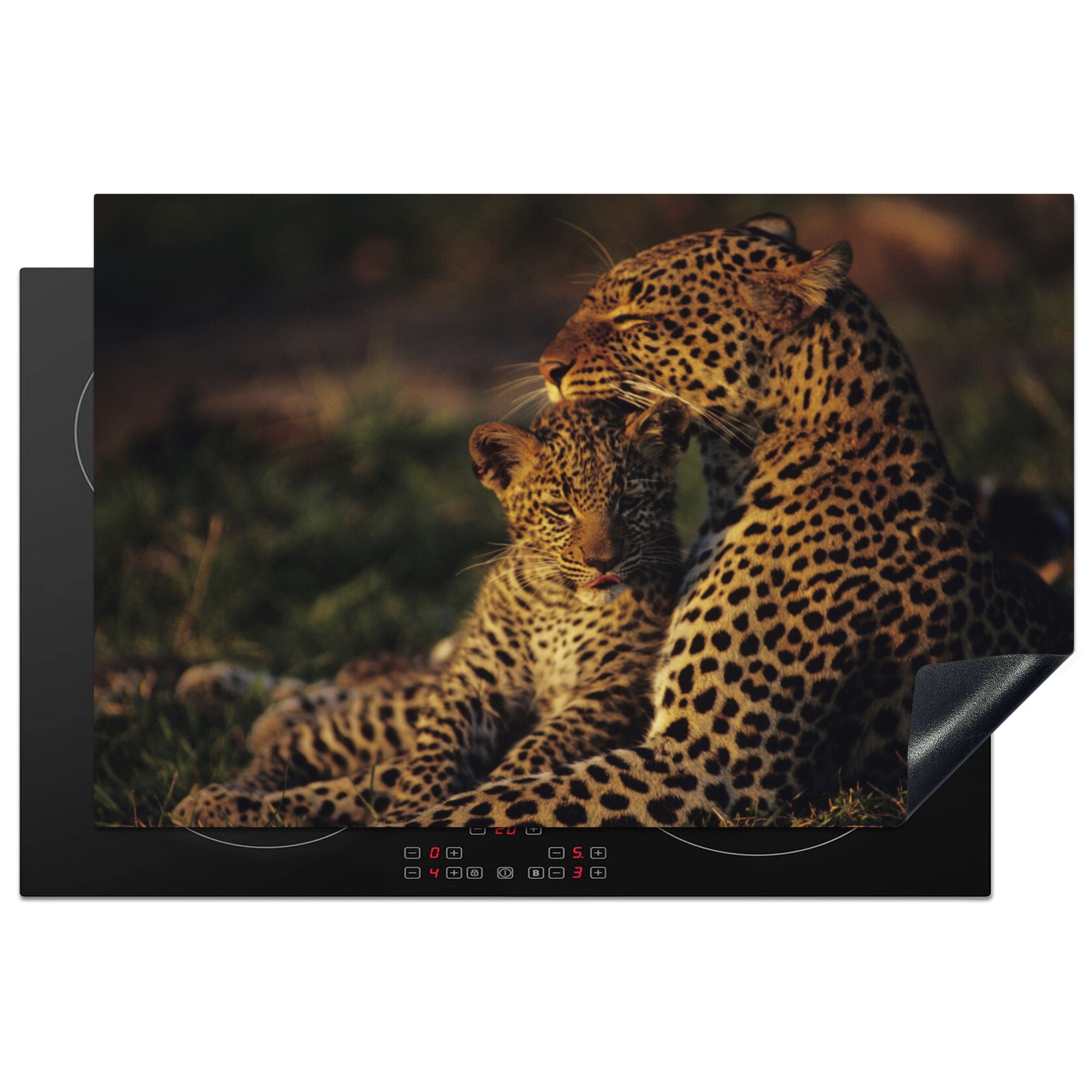 Ceranfeldabdeckung Savanne - Leopard (1 81x52 Herdblende-/Abdeckplatte für Induktionskochfeld die MuchoWow tlg), cm, - küche, Vinyl, Schutz Jungtier,