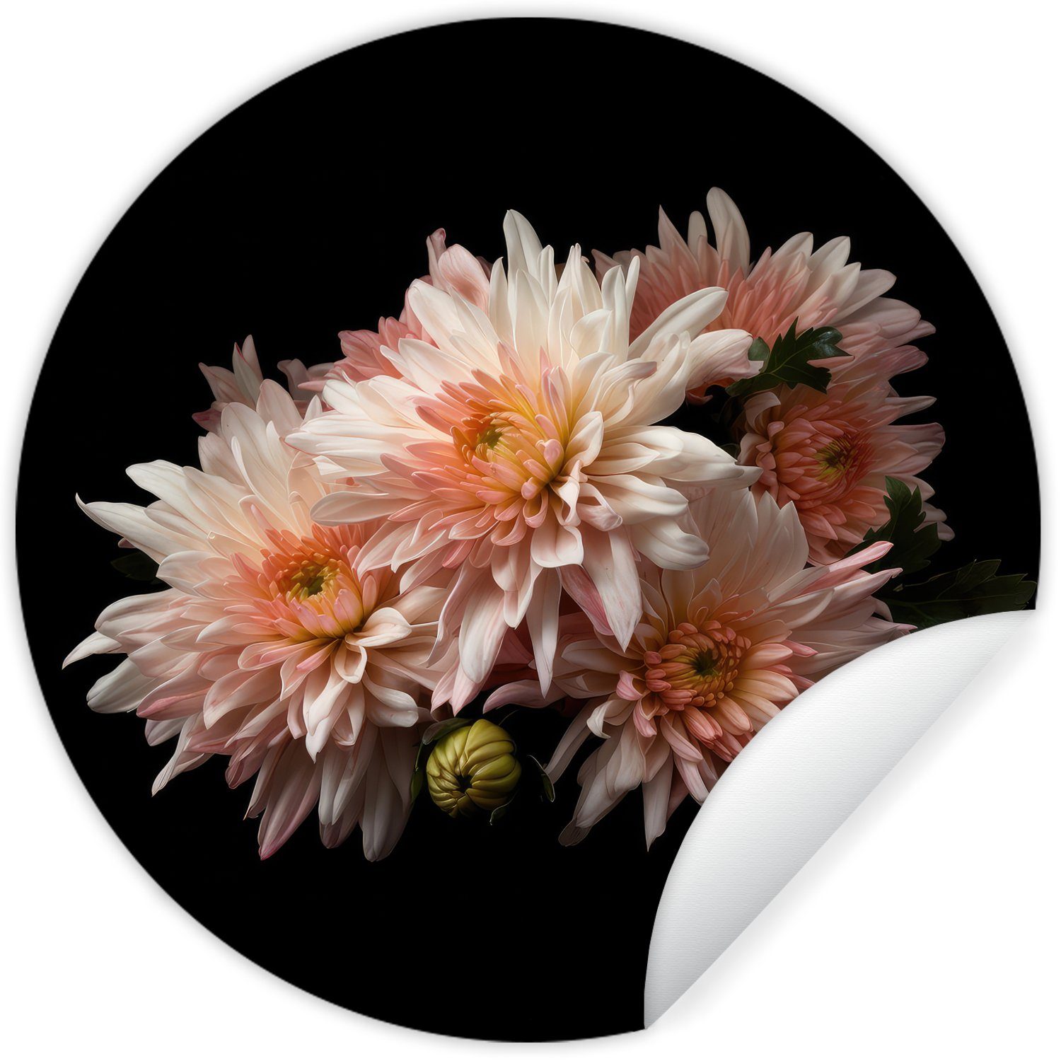 Tapetenaufkleber, Wandsticker Tapetenkreis Schwarz Natur - - St), - - Kinderzimmer, (1 Blumen MuchoWow Rund, für Weiß Chrysantheme Wohnzimmer