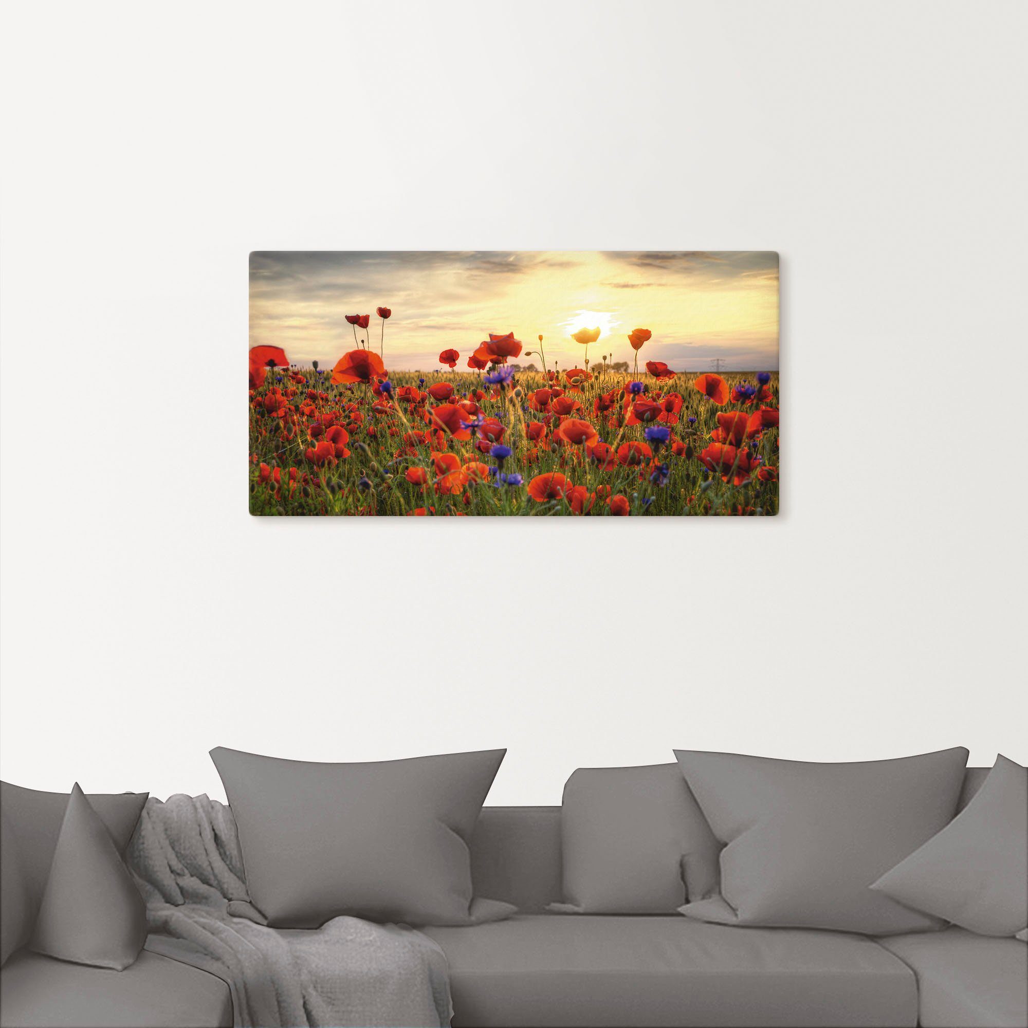 Artland Wandbild Mohnblumen, Blumen (1 St), als Alubild, Outdoorbild, Leinw günstig online kaufen