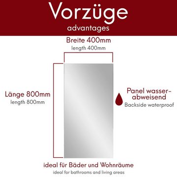 kalb Badspiegel Klassik Spiegel 80x40 cm platingrau mit Wandhalterung Badspiegel