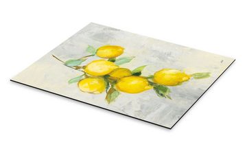 Posterlounge Alu-Dibond-Druck Julia Purinton, Zitronen, Küche Malerei