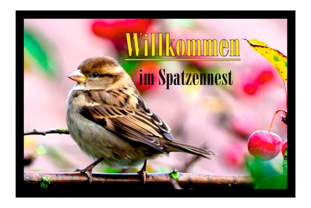 Ladreas Fußmatte Schmutzfangmatte Willkommen im Spatzennest günstig online kaufen