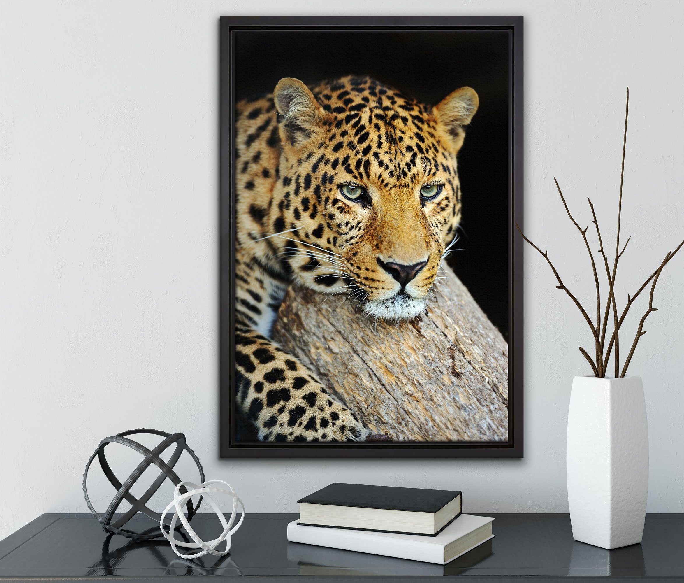inkl. Leopard, fertig Pixxprint einem in (1 Zackenaufhänger Ruhiger Wanddekoration Leinwandbild Leinwandbild bespannt, St), gefasst, Schattenfugen-Bilderrahmen