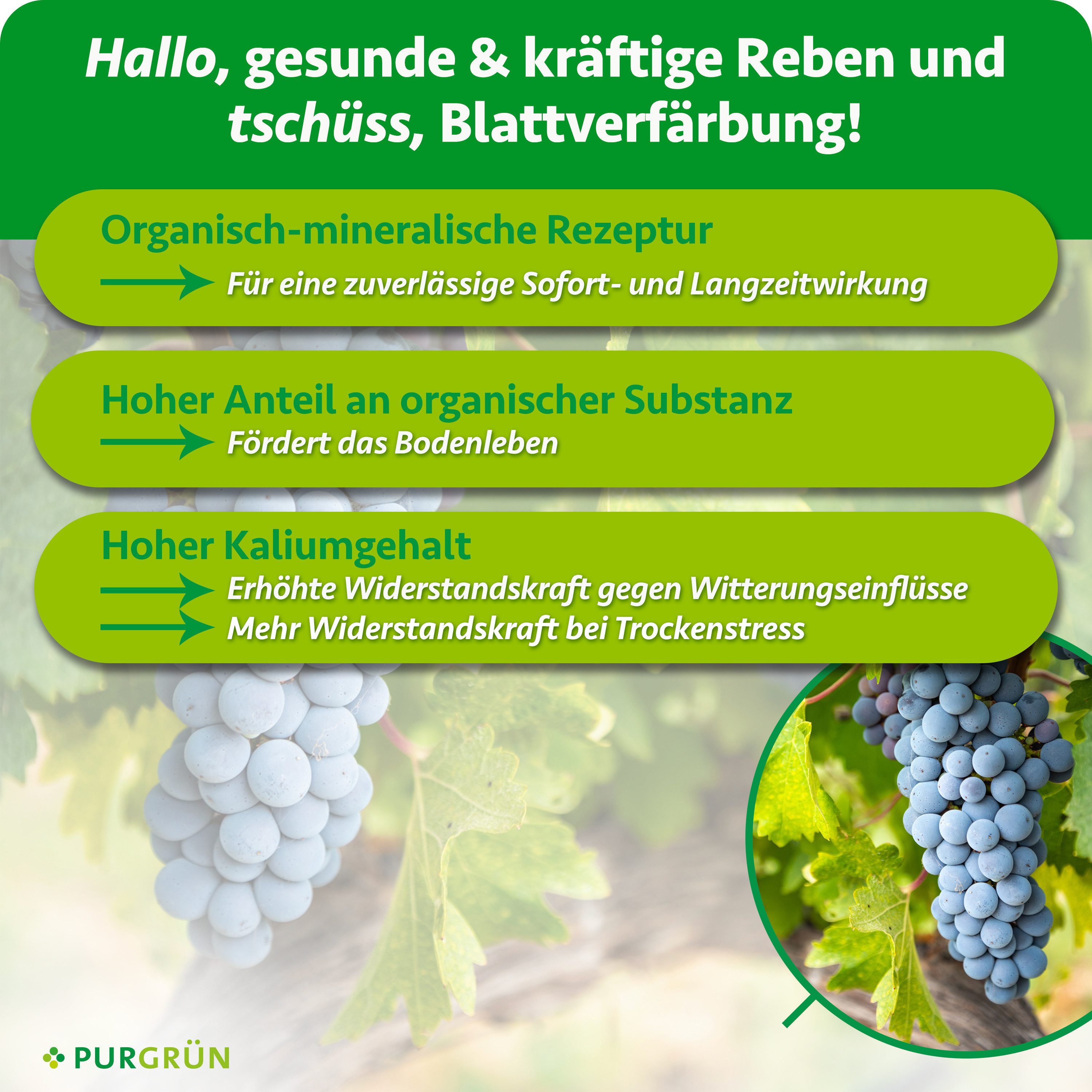 Purgrün Obstdünger Bio Weinreben Dünger, NPK 3+2+6, Kalium, 1 Liter, Flüssigdünger, 1-St., 1 Liter – Bild 3 von 5