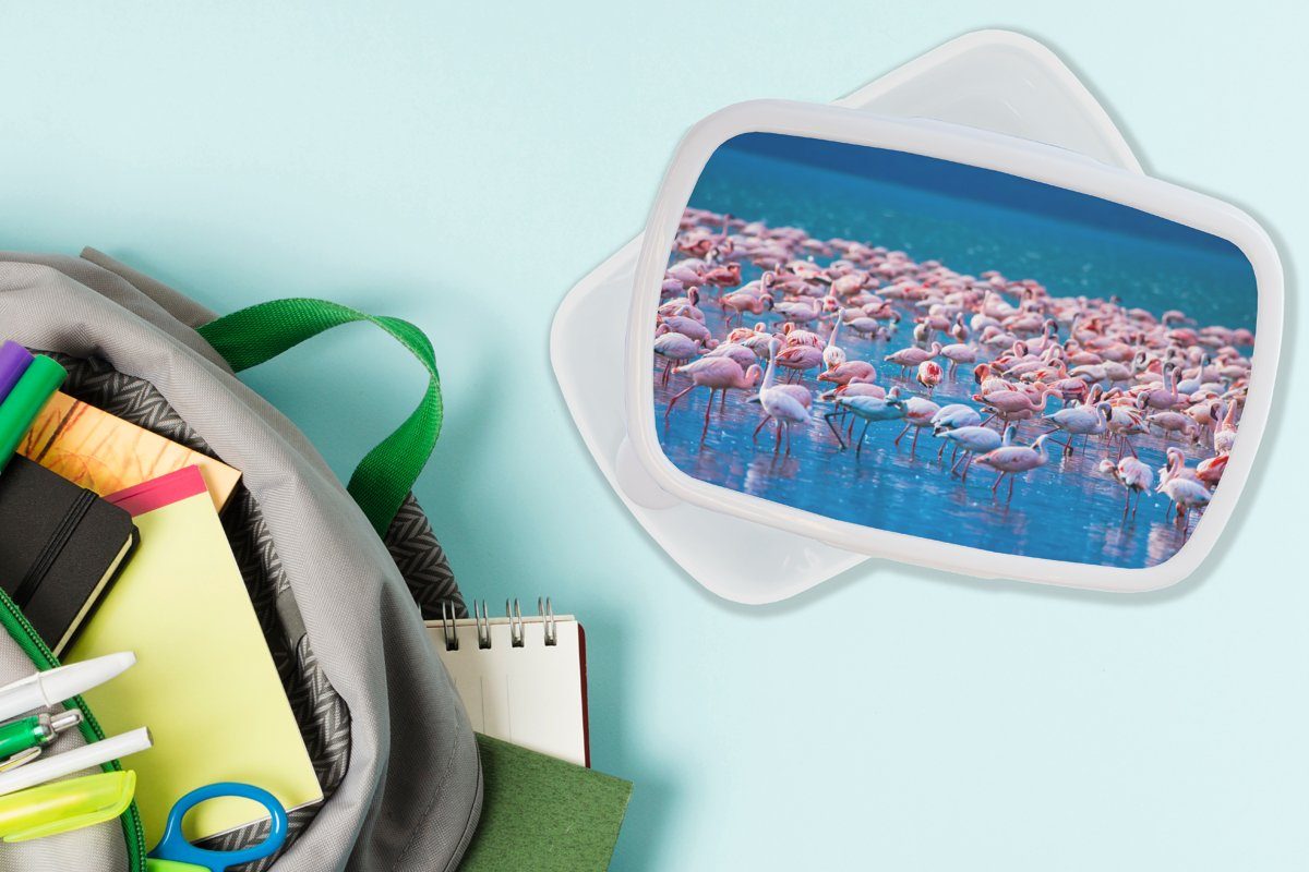MuchoWow Lunchbox Flamingo und Mädchen für Tropisch und Kunststoff, - Jungs - für - Brotbox weiß Erwachsene, Brotdose, Wasser Rosa, (2-tlg), Kinder