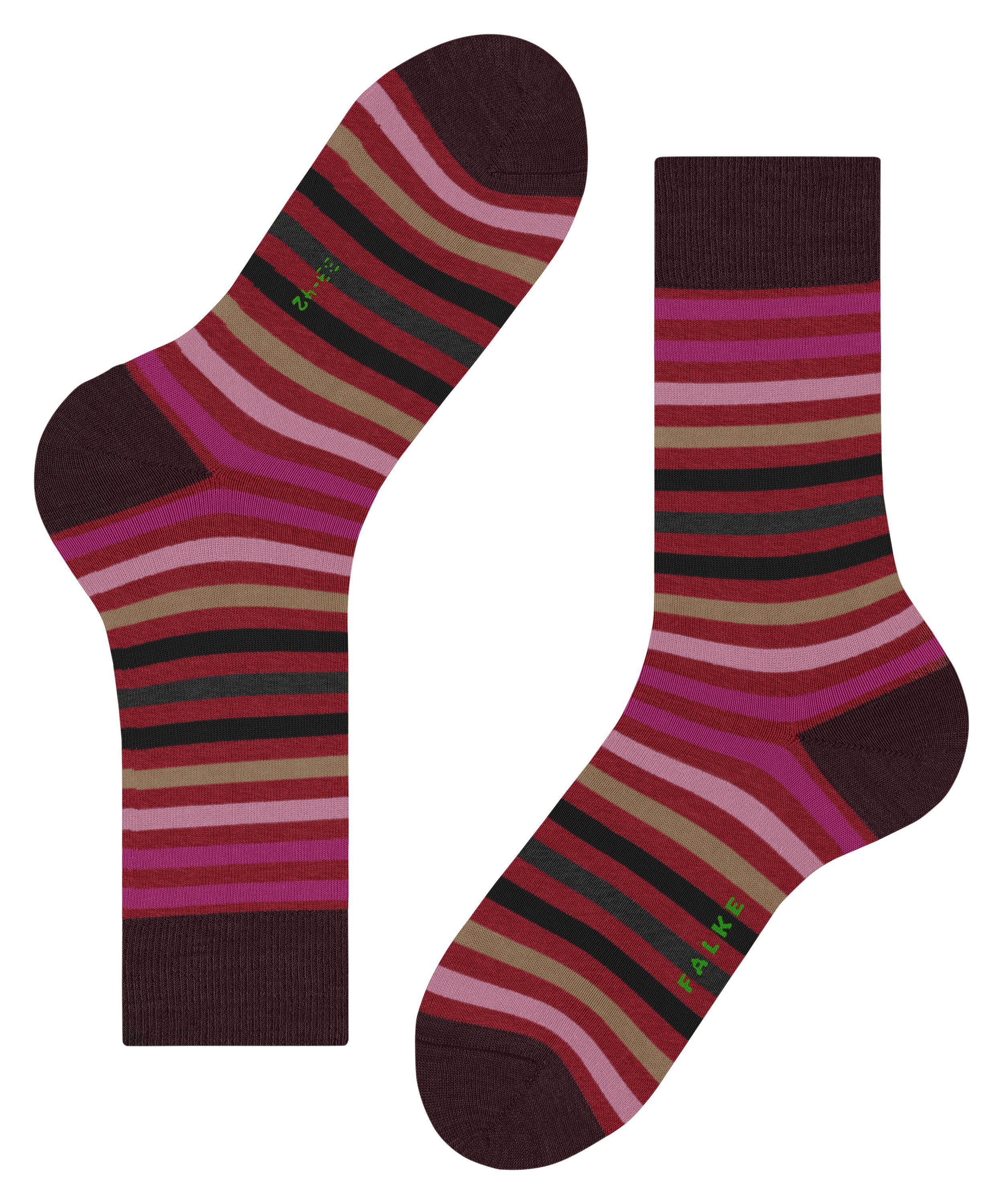 Stripe (8077) ingle Socken FALKE (1-Paar) Tinted