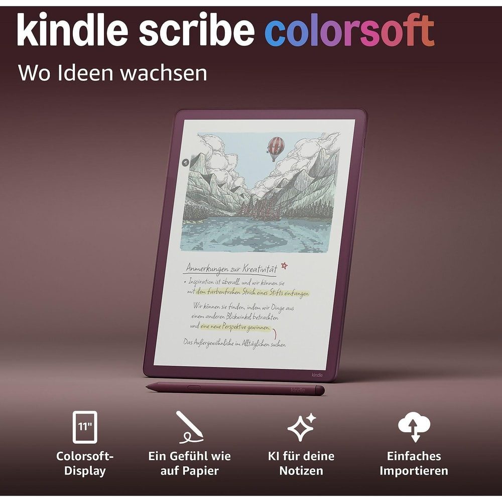 Amazon E-Book