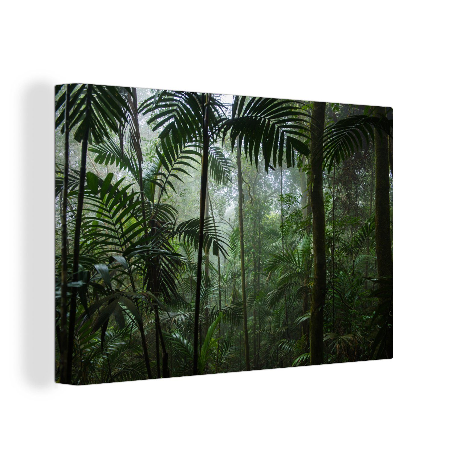 OneMillionCanvasses® Leinwandbild Regenwald - Tropisch - Dschungel - Bäume  - Pflanzen, (1 St), Wandbild Leinwandbilder, Aufhängefertig, Wanddeko,  30x20 cm