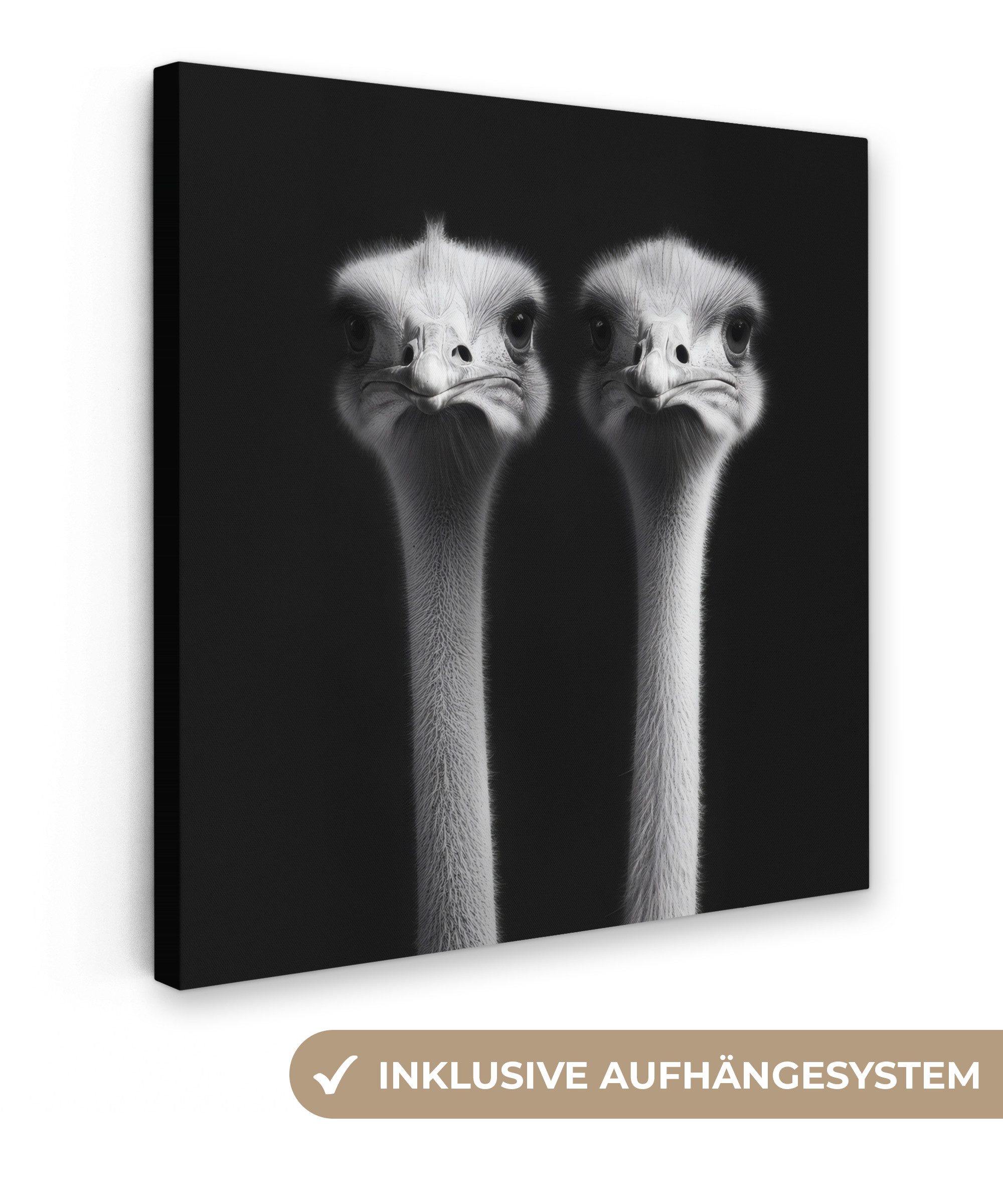 Leinwandbild Strauße - Hälse - Schwarz - Minimalistisch