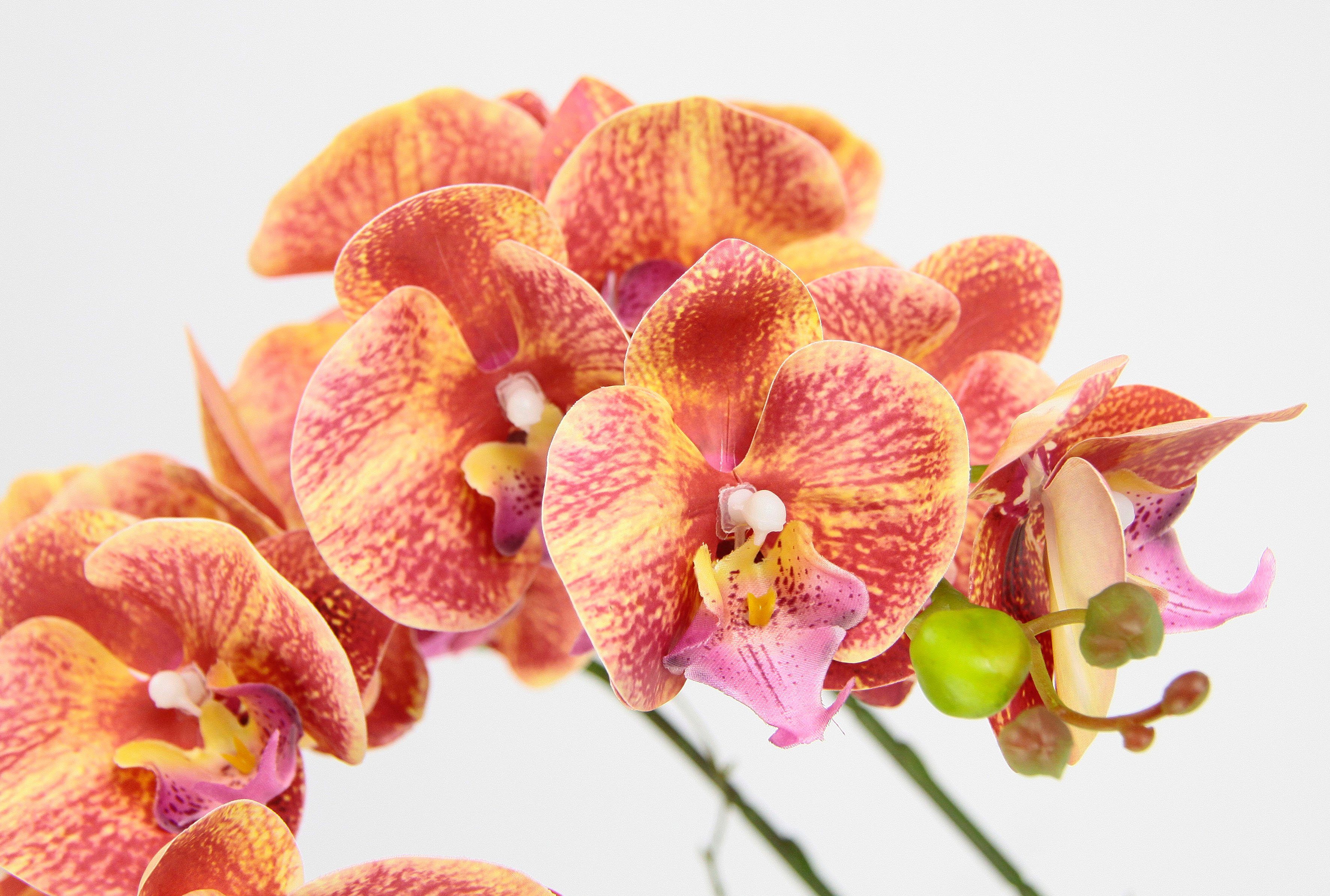 Kunstblume Orchidee, I.GE.A., Höhe 58 cm, Im Topf Phalaenopsis Orchidee  Phalaenopsis mit Übertopf Hochzeit