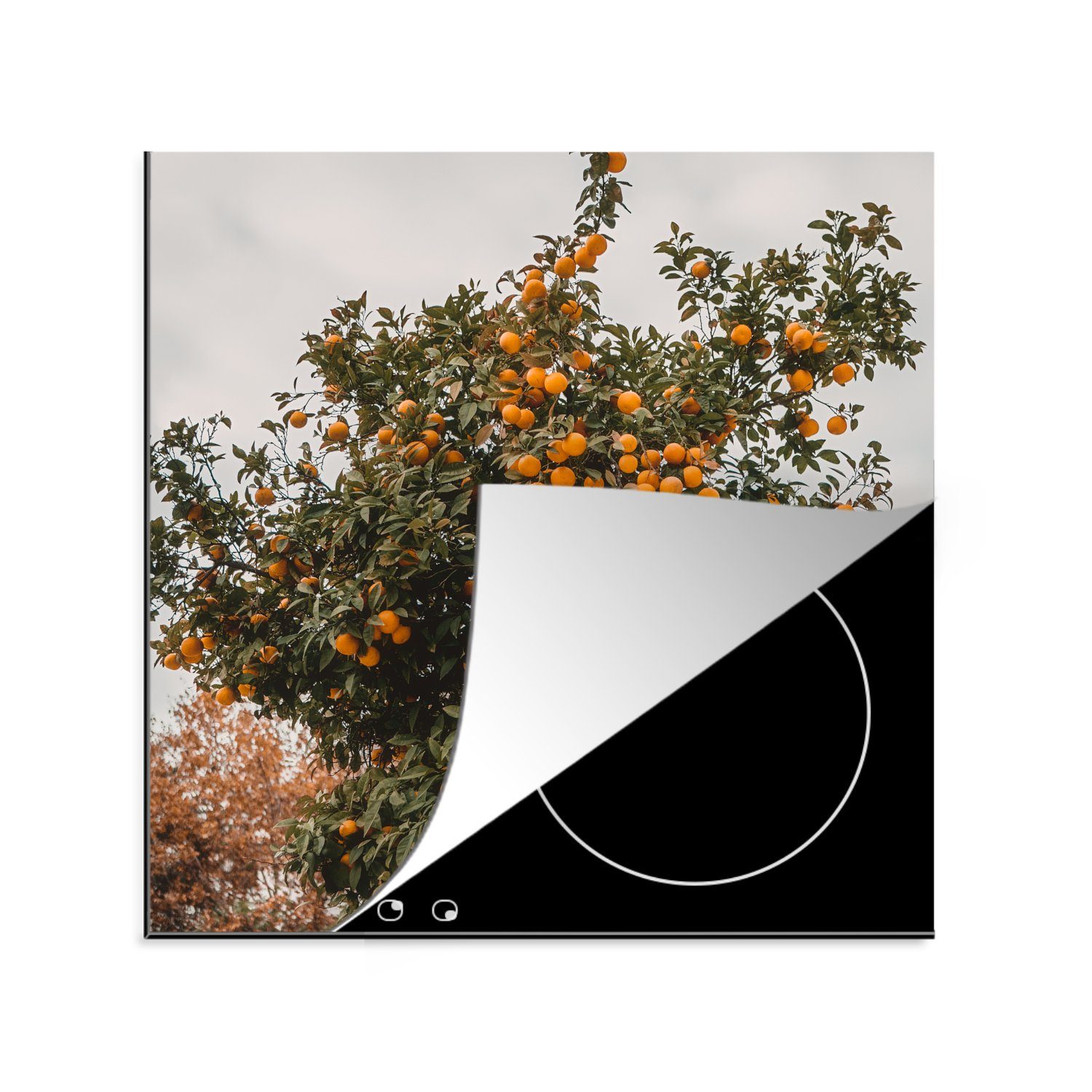 MuchoWow Herdblende-/Abdeckplatte Orangenbaum - Früchte - Orange, Vinyl, (1 tlg), 78x78 cm, Ceranfeldabdeckung, Arbeitsplatte für küche