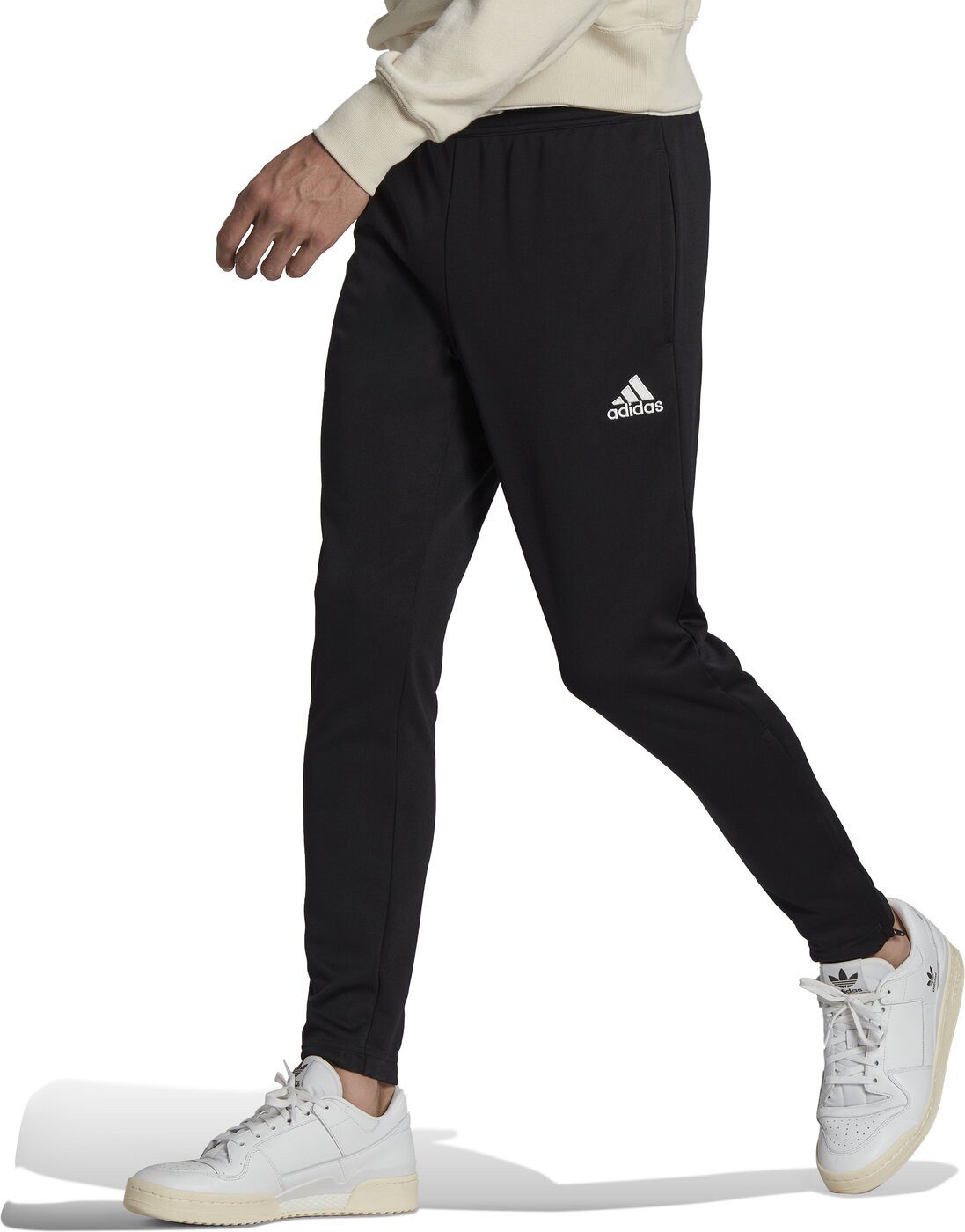 adidas Performance Sporthose ENT22 TR PNT BLACK günstig online kaufen