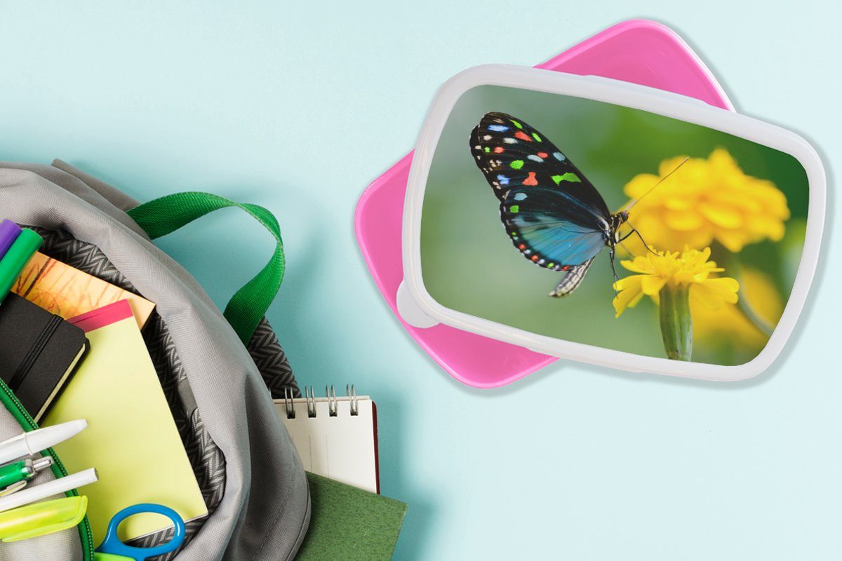 Lunchbox Insekt, Brotdose Kunststoff, für Mädchen, (2-tlg), Kunststoff Schmetterling - Snackbox, Erwachsene, - Blume Brotbox Kinder, rosa MuchoWow - Tier
