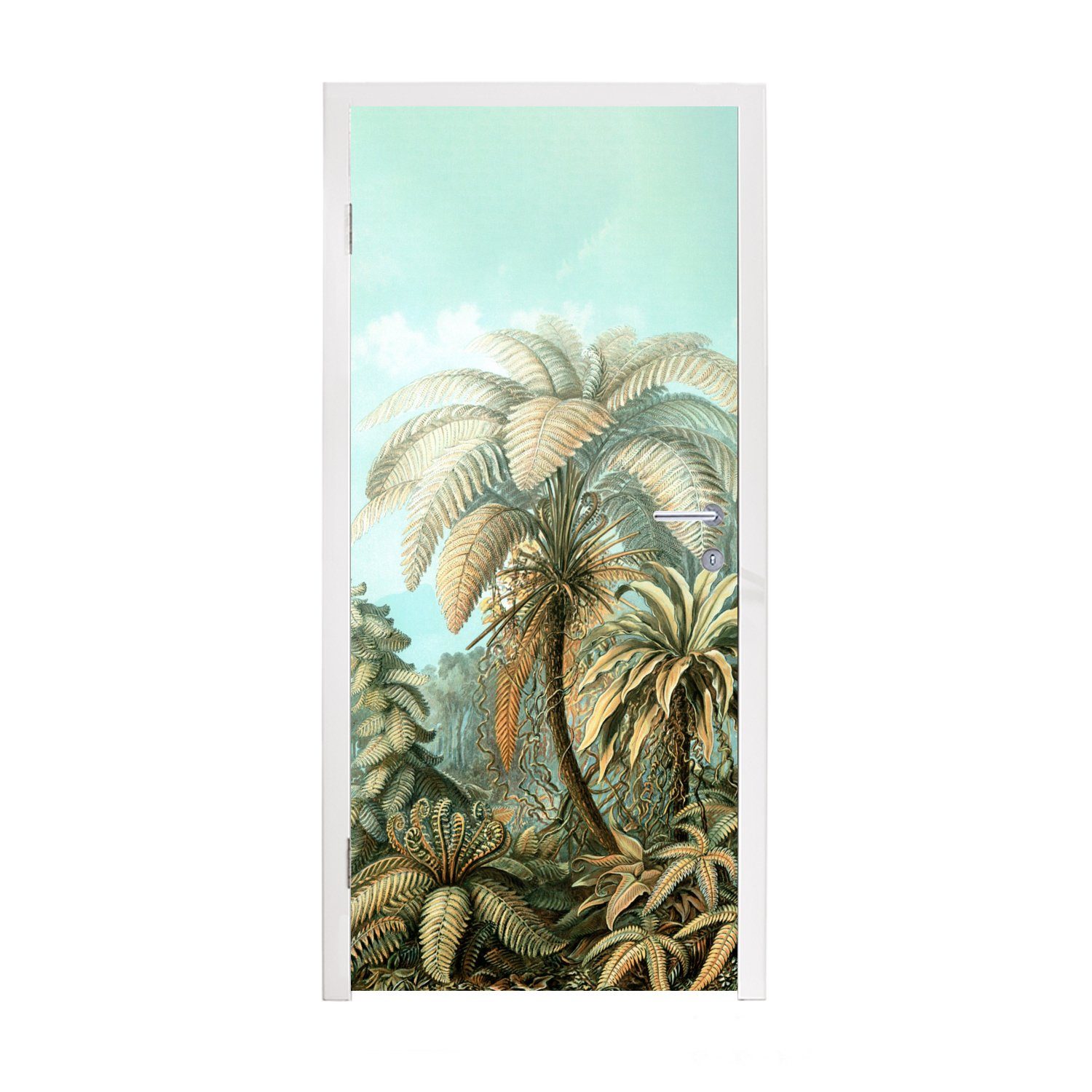 MuchoWow Türtapete Filicinae - Haeckel - Alte Meister, Matt, bedruckt, (1 St), Fototapete für Tür, Türaufkleber, 75x205 cm
