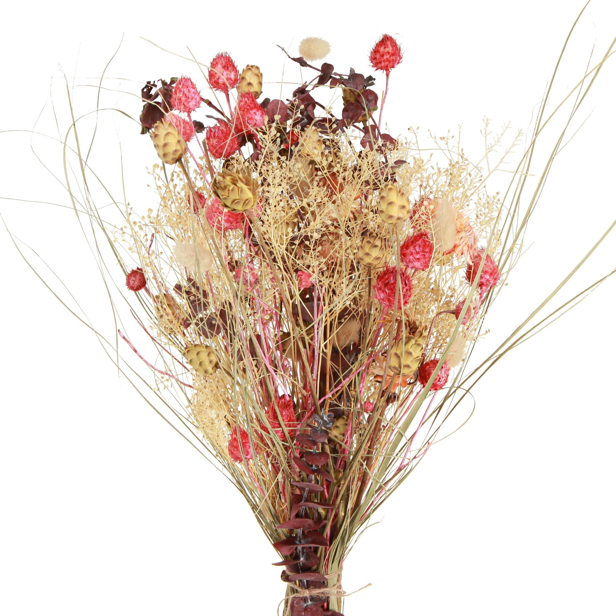 Trockenblume Trockenblumenstrauß Boho-Deko Erdbeerdistel & Flockenblume günstig online kaufen