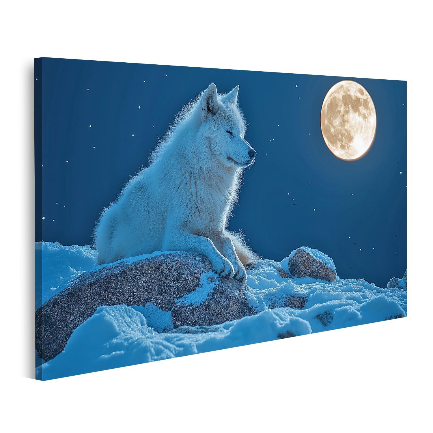 islandburner Leinwandbild Weißer Wolf unter dem Vollmond
