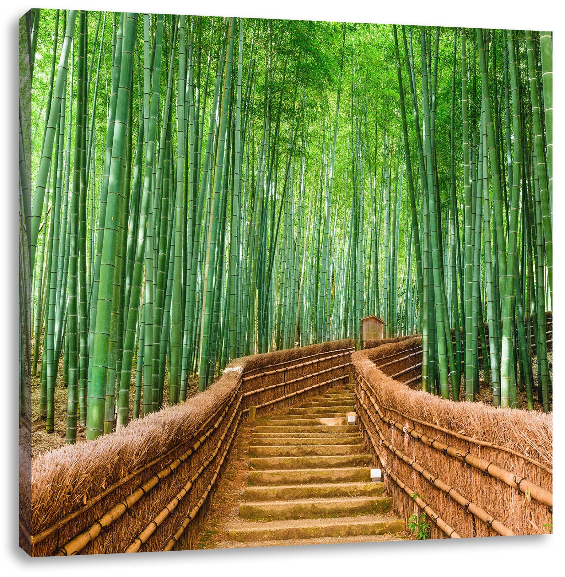(1 Leinwandbild Leinwandbild bespannt, Zackenaufhänger Japan Japan Bambuswald inkl. Bambuswald, Pixxprint Kyoto St), fertig Kyoto