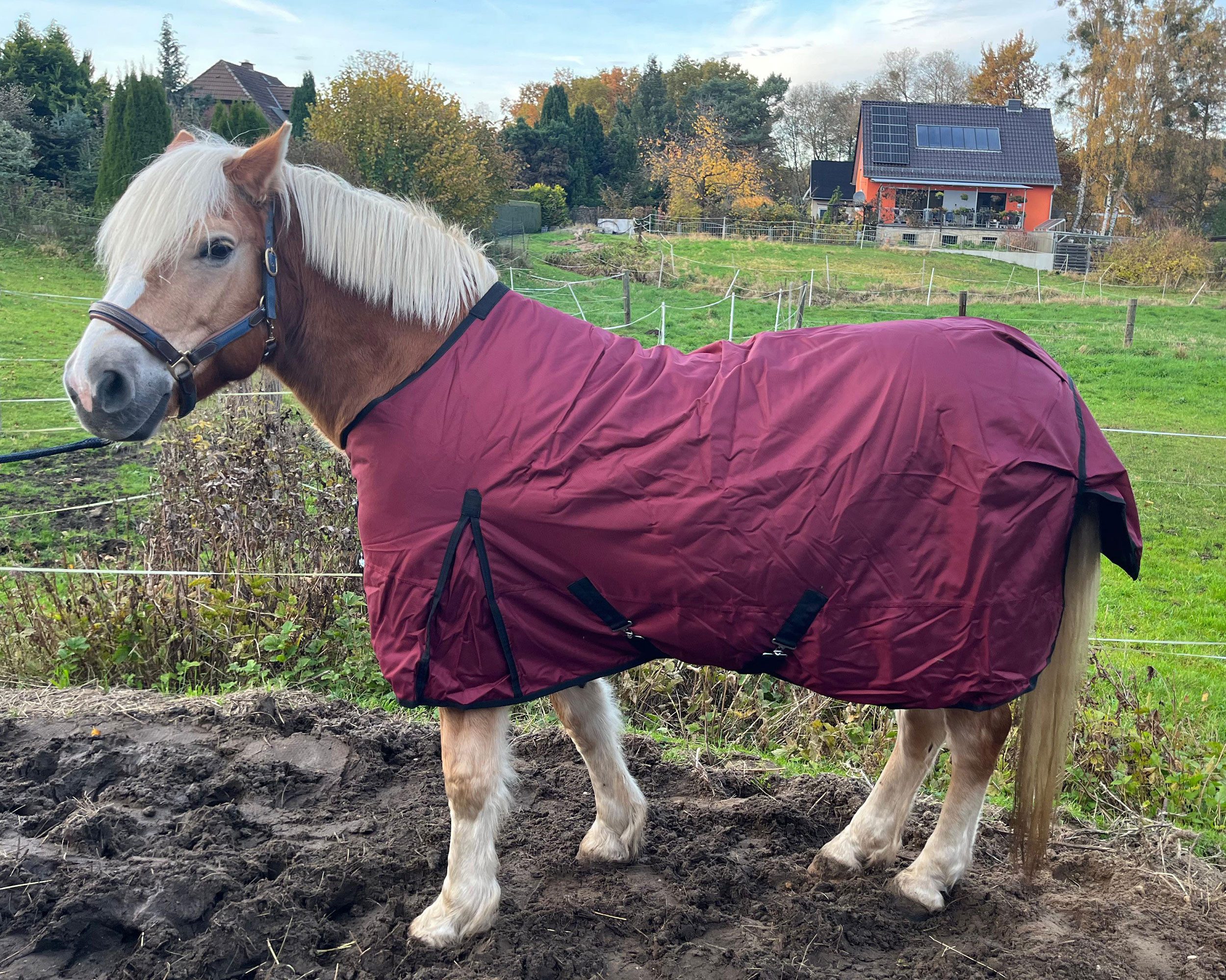 Brama-West Pferde-Thermodecke Winterdecke Red Winter - 1680D - 200g