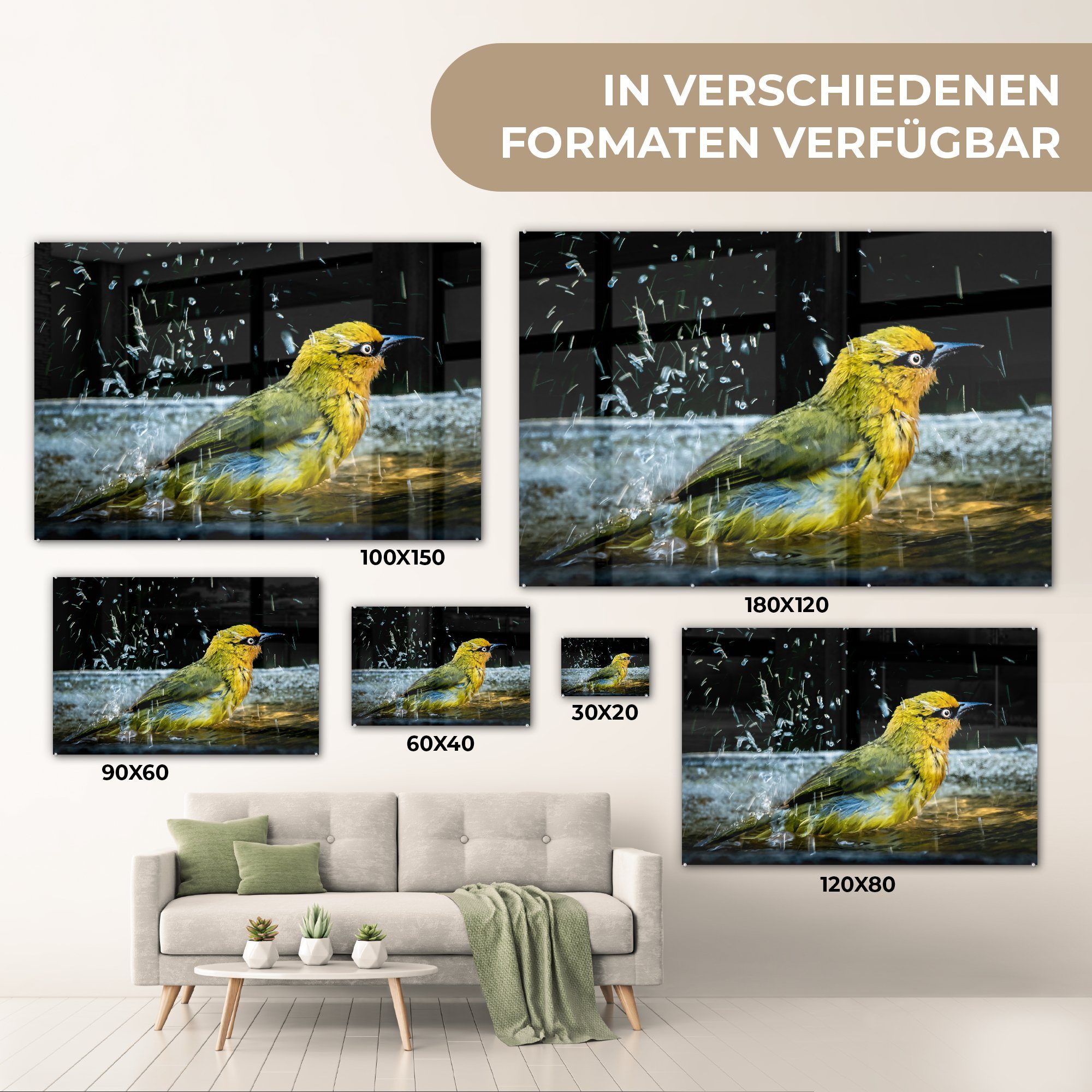 Acrylglasbilder & - St), MuchoWow Wasser, Schlafzimmer Wohnzimmer - Vogeltränke Acrylglasbild (1 Vogel