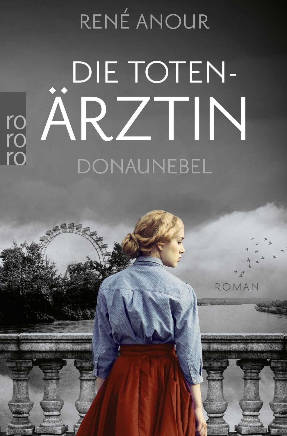 Die Totenärztin: Donaunebel / René Anour, Historischer Wien-Krimi