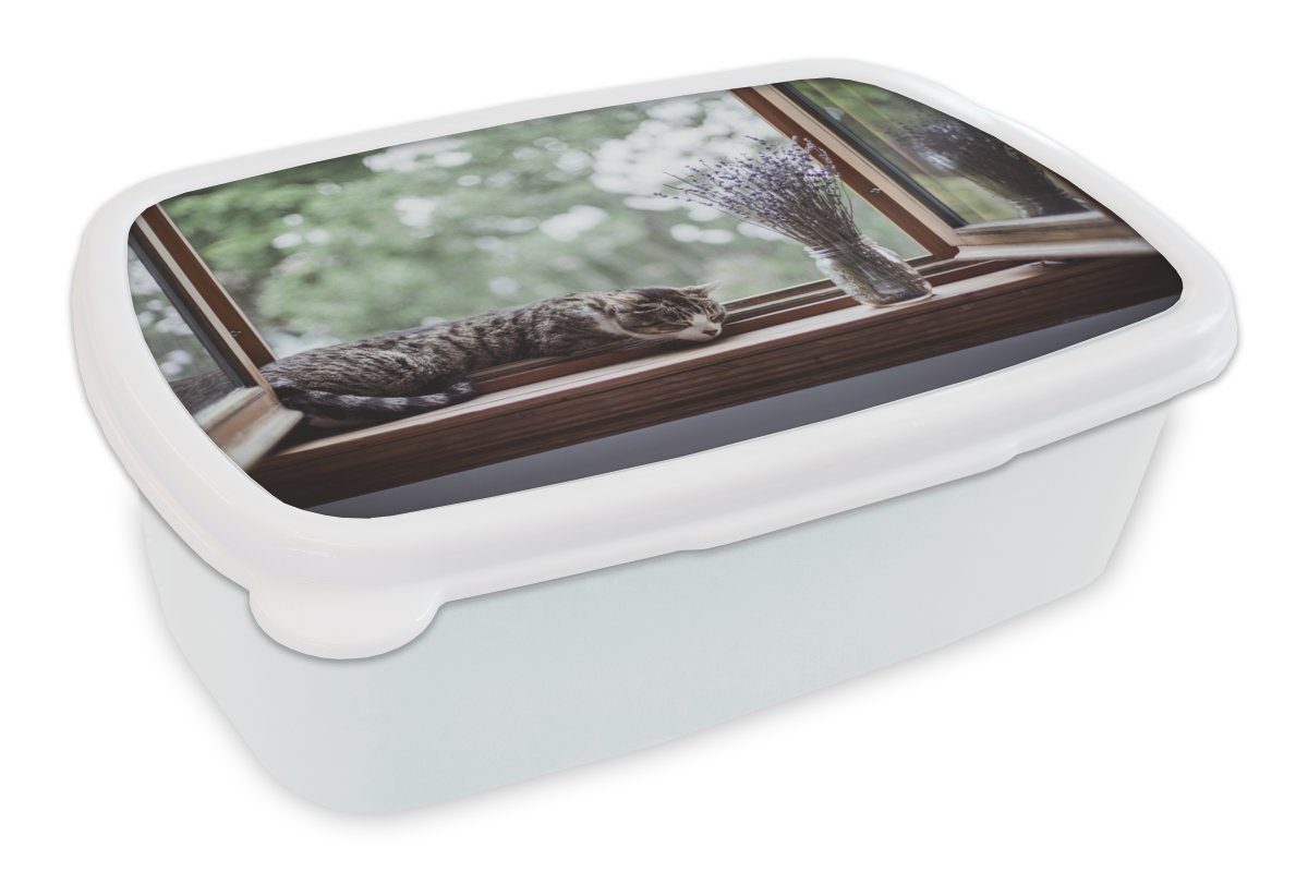 MuchoWow Lunchbox Zypresse Katze aus dem Fenster, Kunststoff, (2-tlg), Brotbox für Kinder und Erwachsene, Brotdose, für Jungs und Mädchen weiß | Lunchboxen