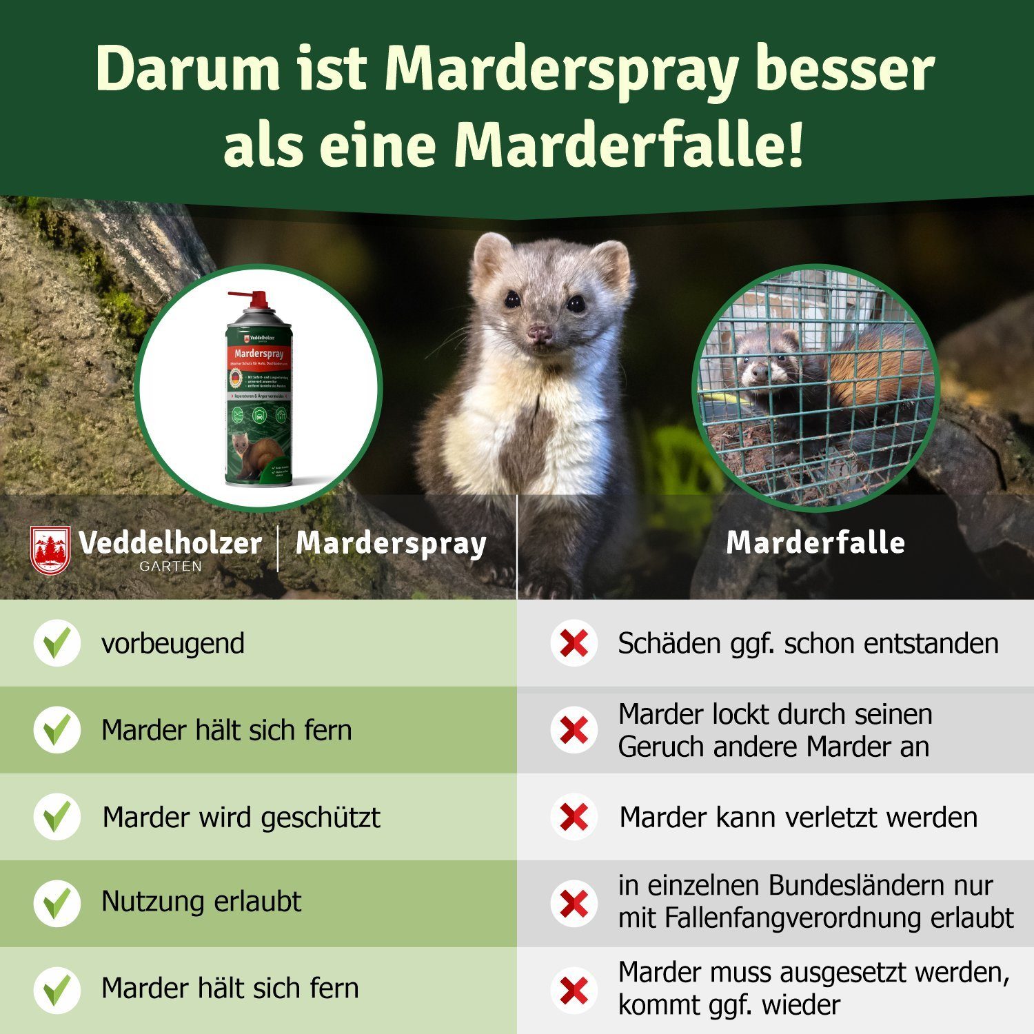 Veddelholzer Marderspray Auto Dachboden & Garage 400 ml Sofortiger Langfristiger Schutz Marder, 400 ml, Marderschreck Made in Germany, Sofortiger & Langfristiger Schutz für Marder, Marderabwehr für Auto, Garten, Garage und Dachboden