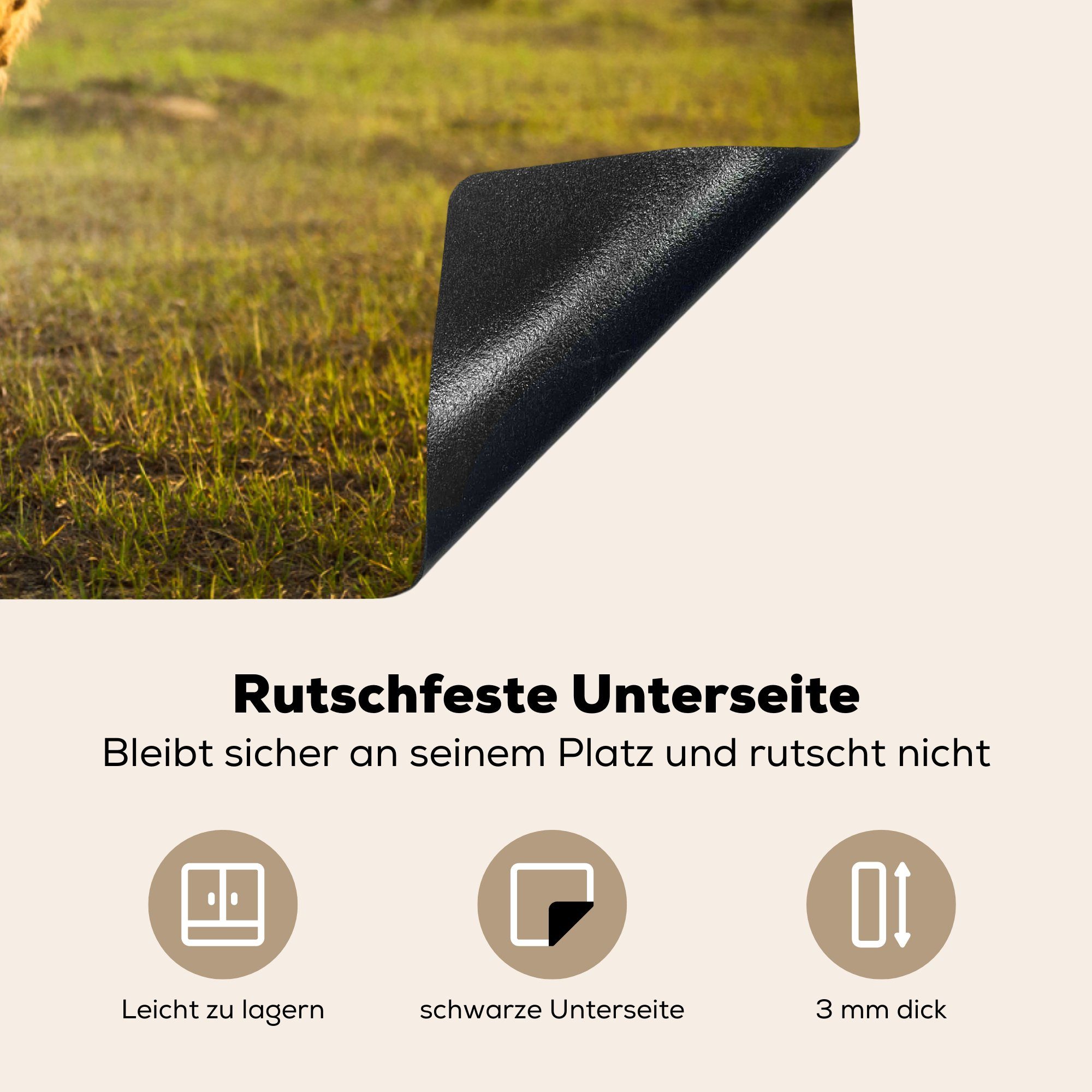 MuchoWow Induktionskochfeld Kalb tlg), für Schottischer - Herdblende-/Abdeckplatte Schutz cm, die (1 - Highlander Ceranfeldabdeckung Vinyl, Herbst, 81x52 küche,