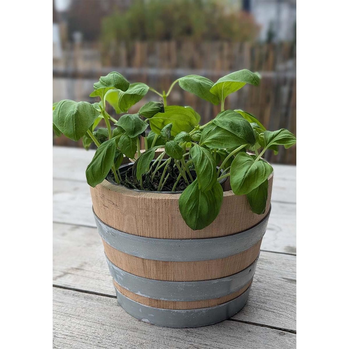 Temesso Blumentopf D20cm - Kleiner Pflanzkübel aus Eichenholz, Tequilafass