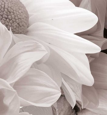 MyMaxxi Sichtschutzstreifen Zaunsichtschutz Farbenfroher Blumenstrauß und Sonnenblumen