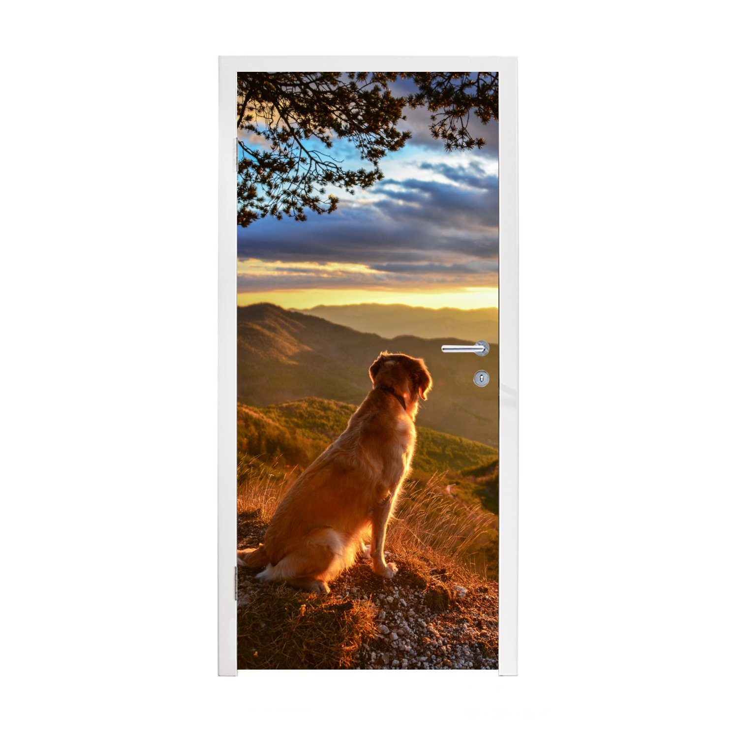 MuchoWow Türtapete Ein Golden Retriever beobachtet den Sonnenuntergang, Matt, bedruckt, (1 St), Fototapete für Tür, Türaufkleber, 75x205 cm