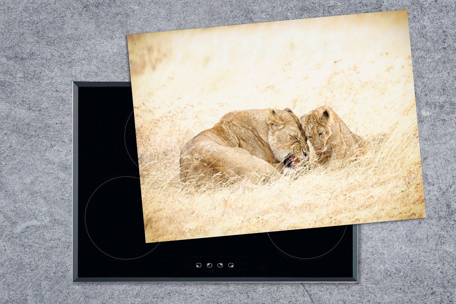 Herdblende-/Abdeckplatte mit in 70x52 Vinyl, im Ceranfeldabdeckung Löwenmutter Jungen cm, (1 Mobile tlg), Ngorongoro-Kraters nutzbar, des Arbeitsfläche MuchoWow Gras Tansania,