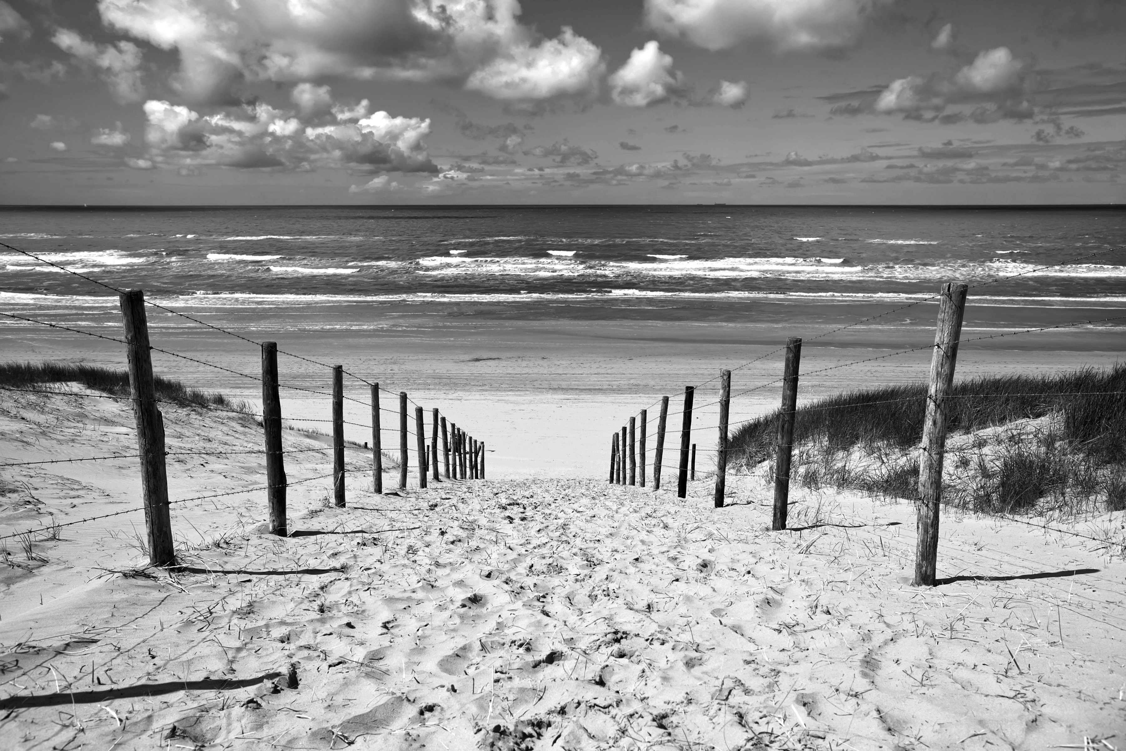 Papermoon Fototapete Strand Schwarz Weiß &