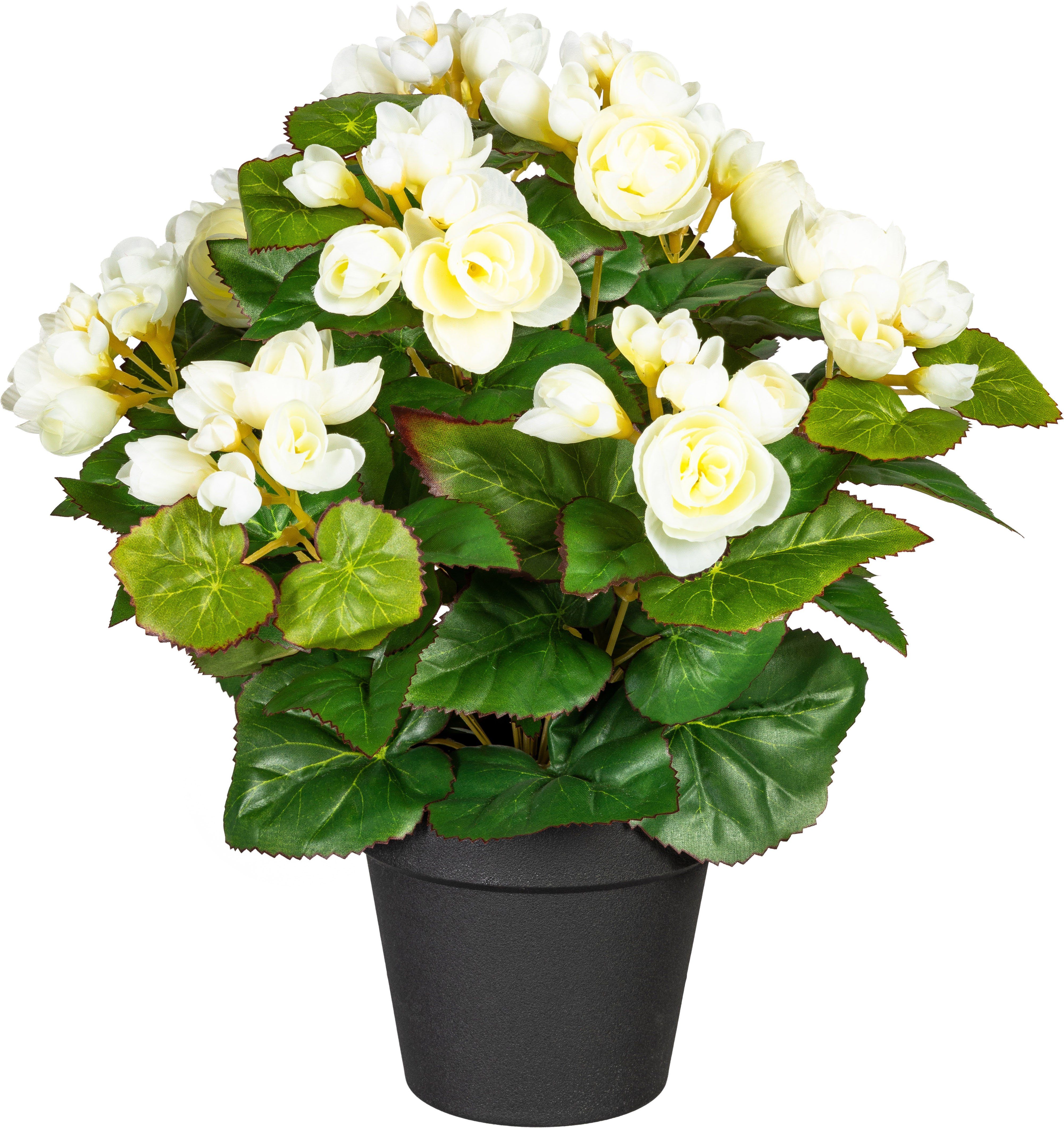 Kunstpflanze Eleonore