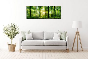 Victor (Zenith) Acrylglasbild Acrylglasbild \"Wald mit Sonnenstrahlen\" - Größe: 20 x 60 cm, Landschaften, in 20x60 cm, Glasbilder Wald Bäume Natur