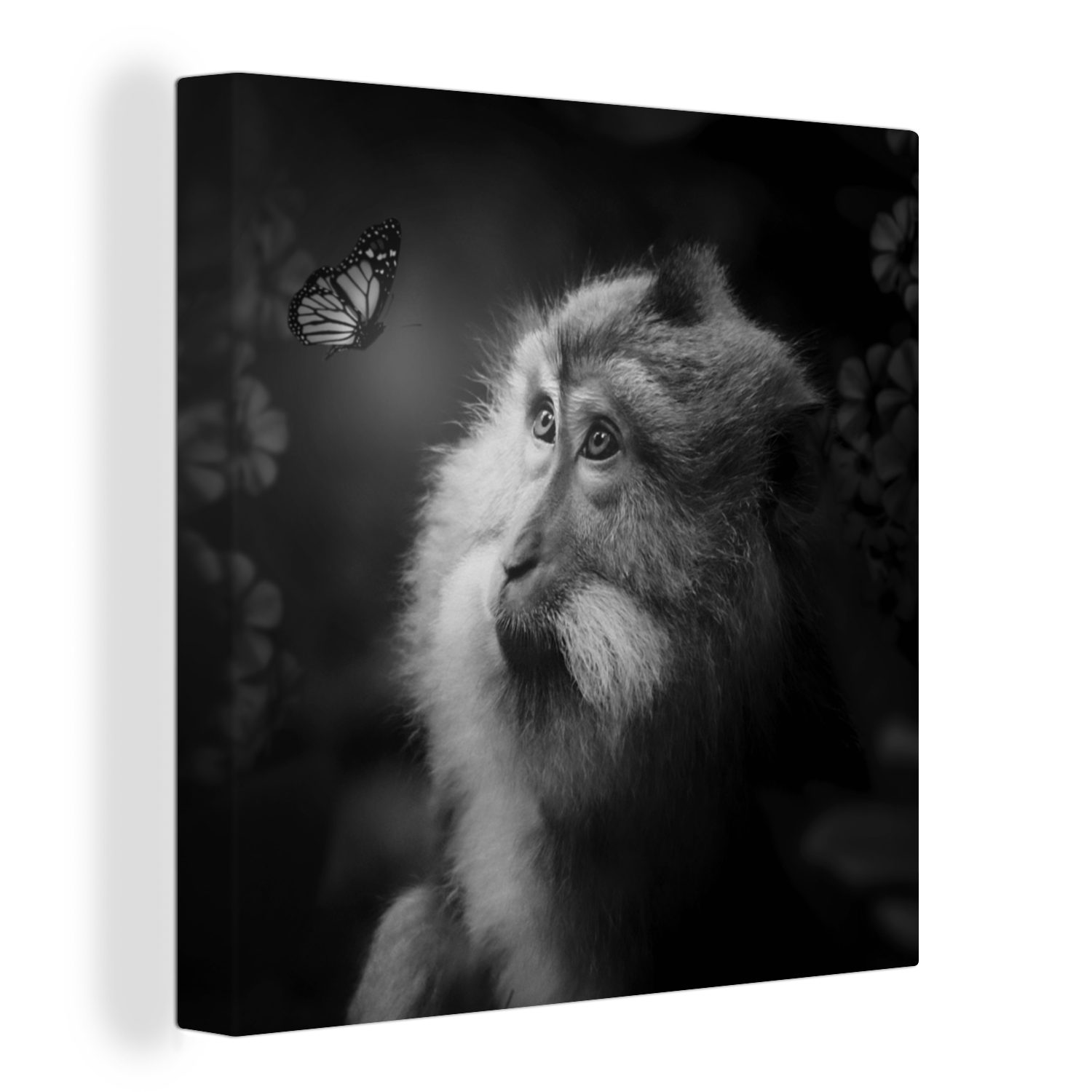 OneMillionCanvasses® Leinwandbild Schmetterling - Affe - Natur - Schwarz - Weiß, (1 St), Leinwand Bilder für Wohnzimmer Schlafzimmer