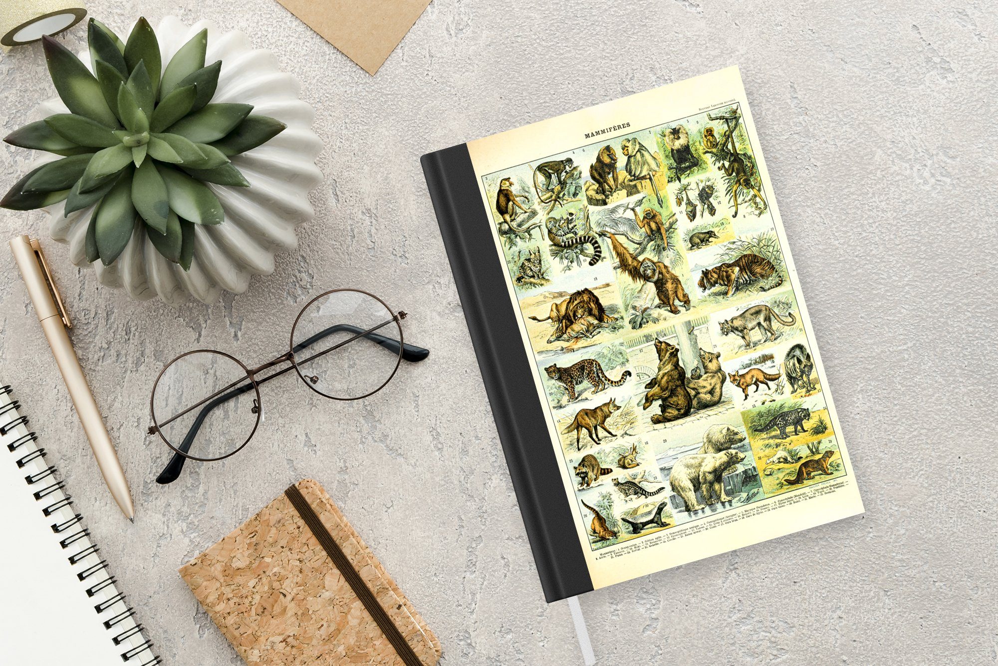 Affe Notizheft, Tiere Tagebuch, A5, MuchoWow Journal, Bären, Merkzettel, Seiten, - Notizbuch Haushaltsbuch 98 -