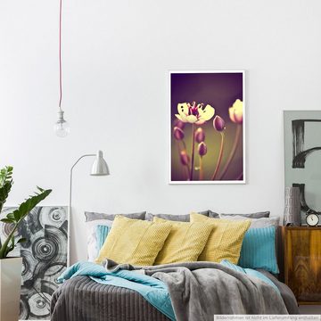 Sinus Art Poster 90x60cm Poster Naturfotografie Vintage Blume mit braunem Hintergrund