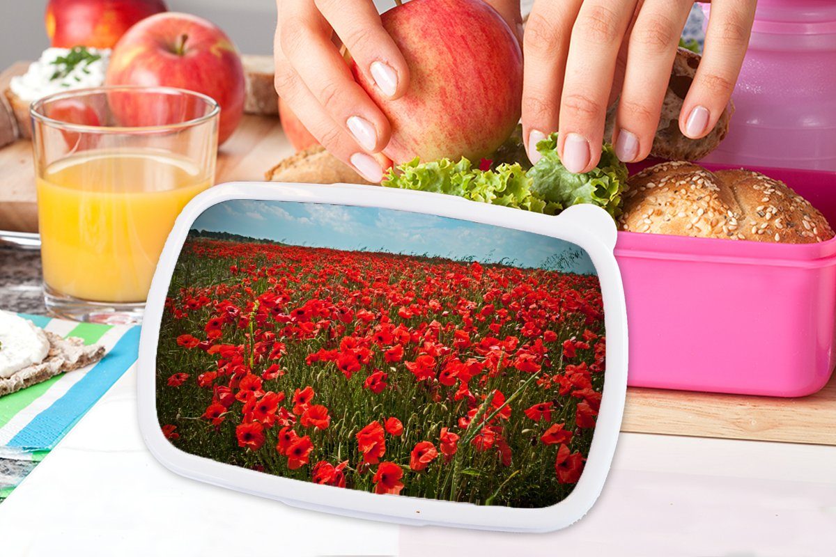 Brotdose MuchoWow rosa Wiese Lunchbox Brotbox Eine voller Kunststoff Mohnblumen, Mädchen, Kunststoff, Erwachsene, Snackbox, (2-tlg), für Kinder,