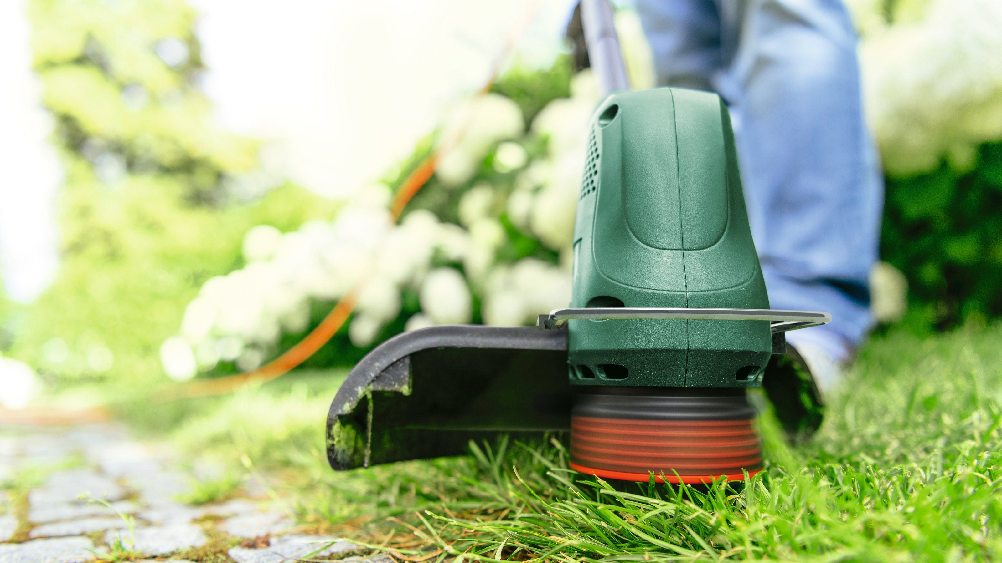 Bosch Home & Garden Elektro-Rasentrimmer EasyGrassCut 23, 280 W, halbautomatischs Schneidesystem – Bild 4 von 5