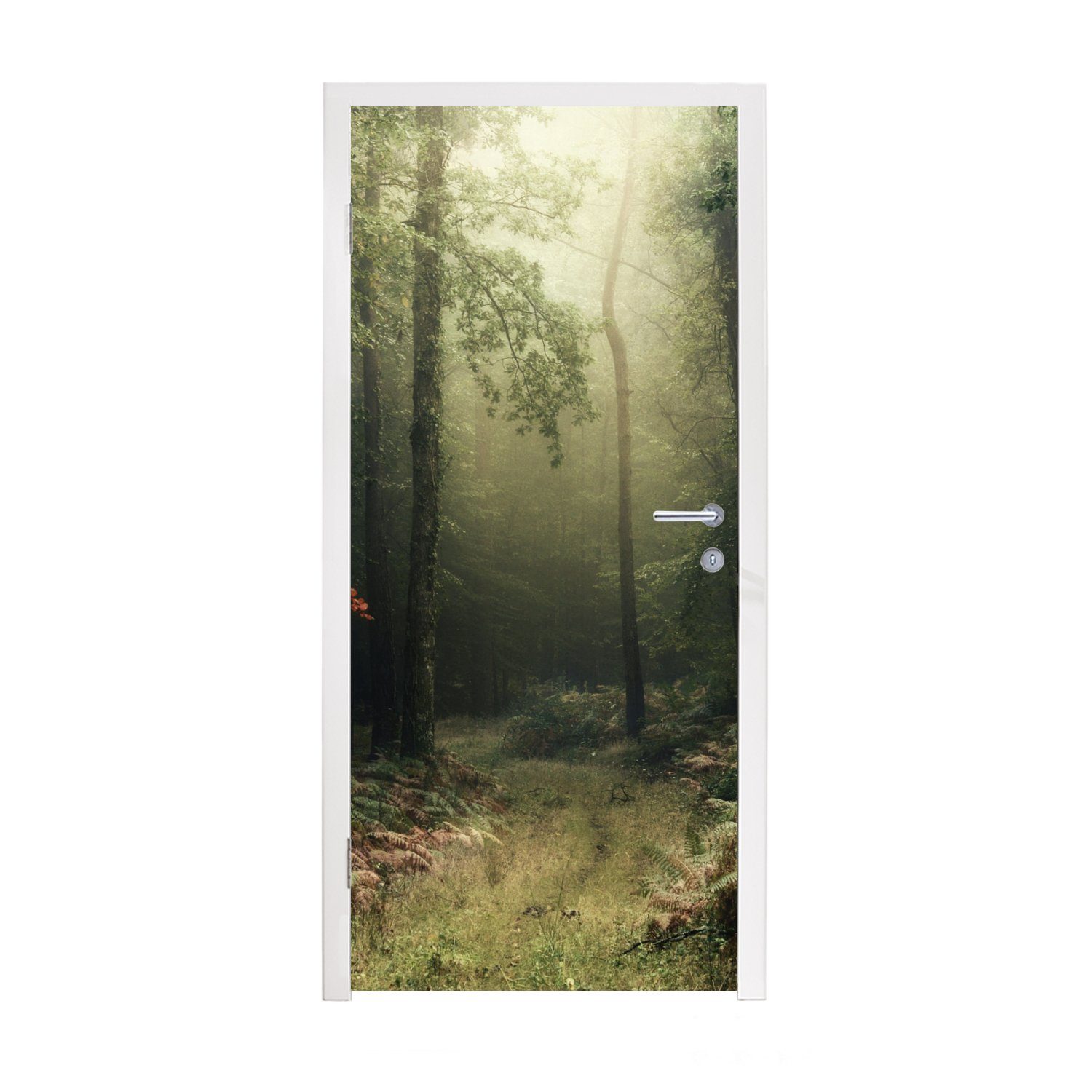 MuchoWow Türtapete Dunkelheit - Wald - Bäume, Matt, bedruckt, (1 St), Fototapete für Tür, Türaufkleber, 75x205 cm