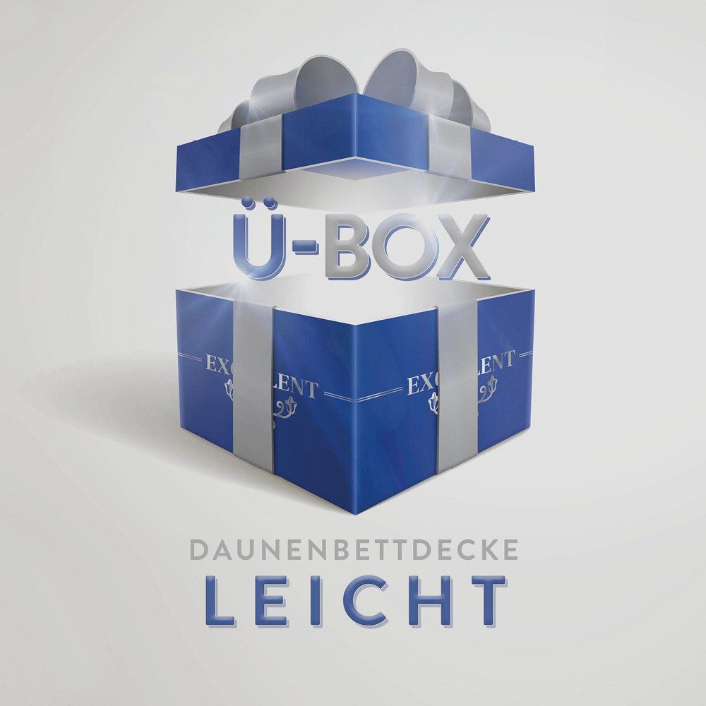 Excellent Daunenbettdecke Überraschungsbox, Füllung: 90% Daunen, 10% Federn, Bezug: Baumwolle, absoluter Sonderpreis, wegen Lagerräumung, Solange der Vorrat reicht