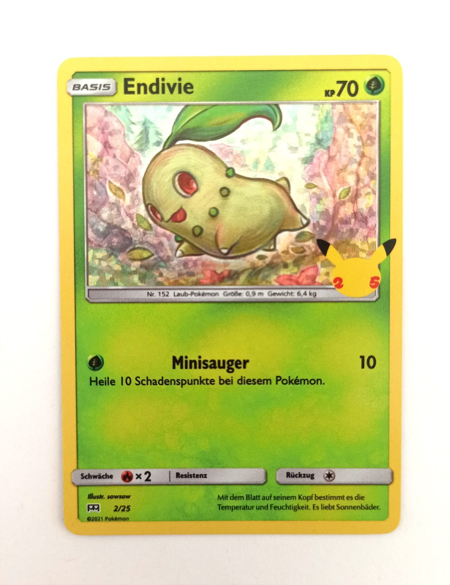 The Pokémon Company International Sammelkarte Pokemon Karte Endivie 02/