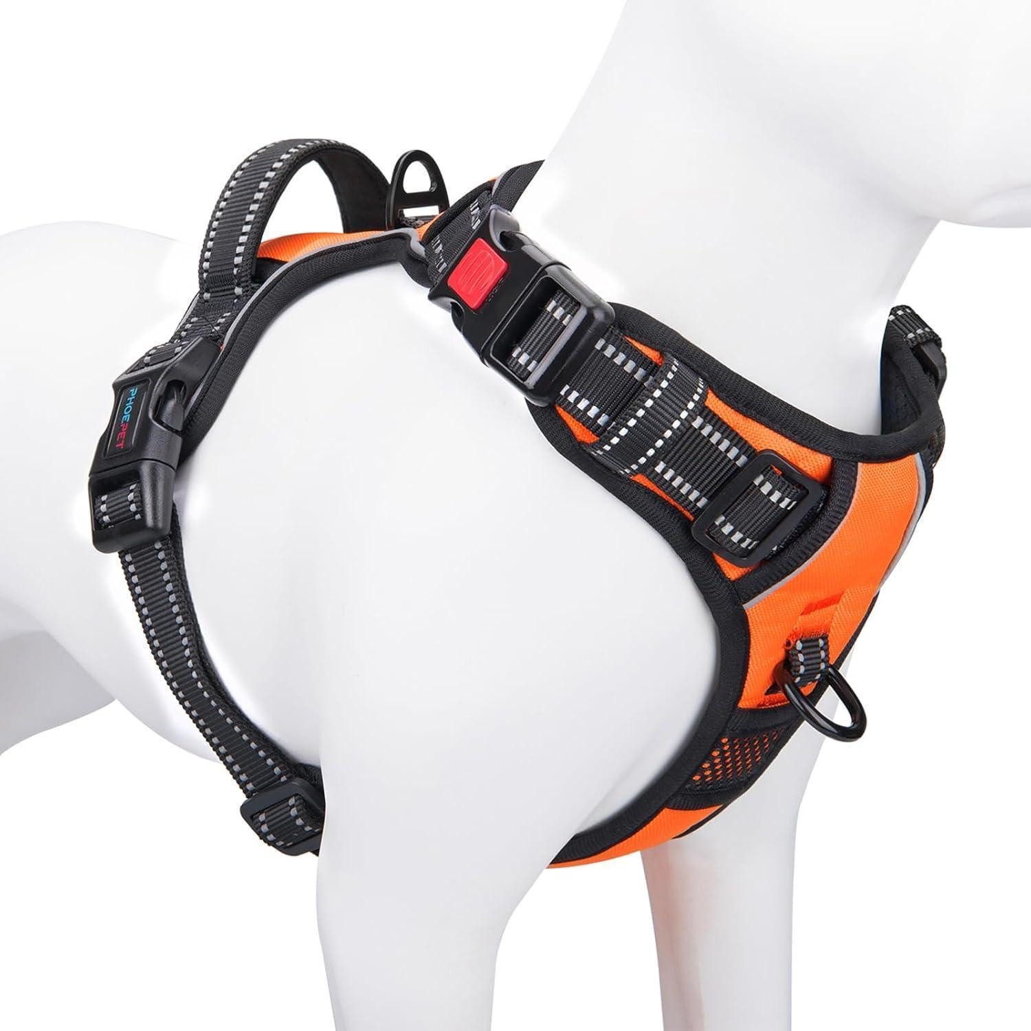 LuxusKollektion Hunde-Geschirr Hundegeschirr ohne Zug kleine Hunde reflektierend Griff Orange Medium, Textil