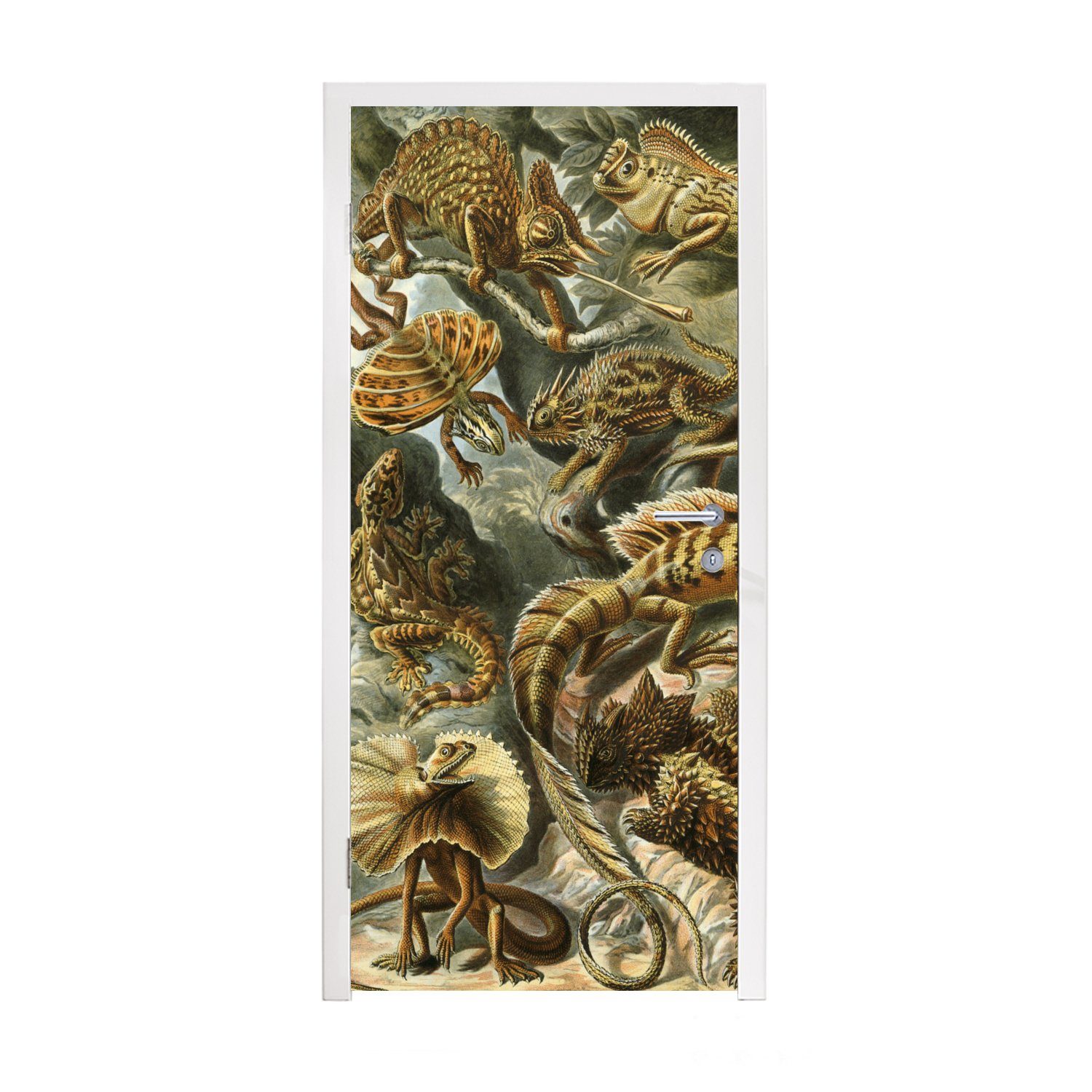 Tür, - cm Kunst, Alte Lacertilia für Meister - Türtapete bedruckt, MuchoWow 75x205 St), Matt, Fototapete (1 Türaufkleber,