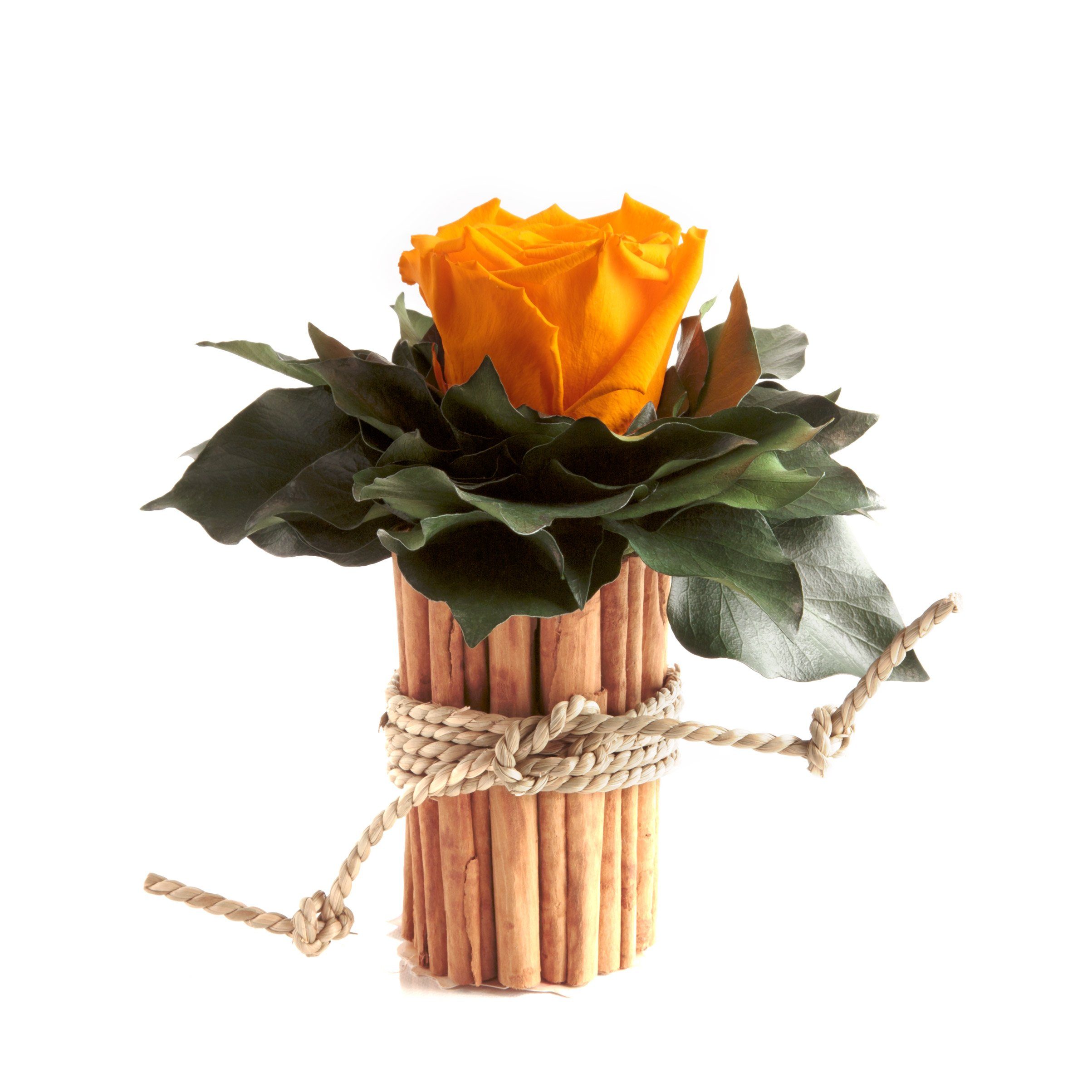 ROSEMARIE SCHULZ Heidelberg Dekoobjekt Blumenstrauß Zimtbecher Infinity Rosen Kunstpflanze, Infinity Rosen gelb