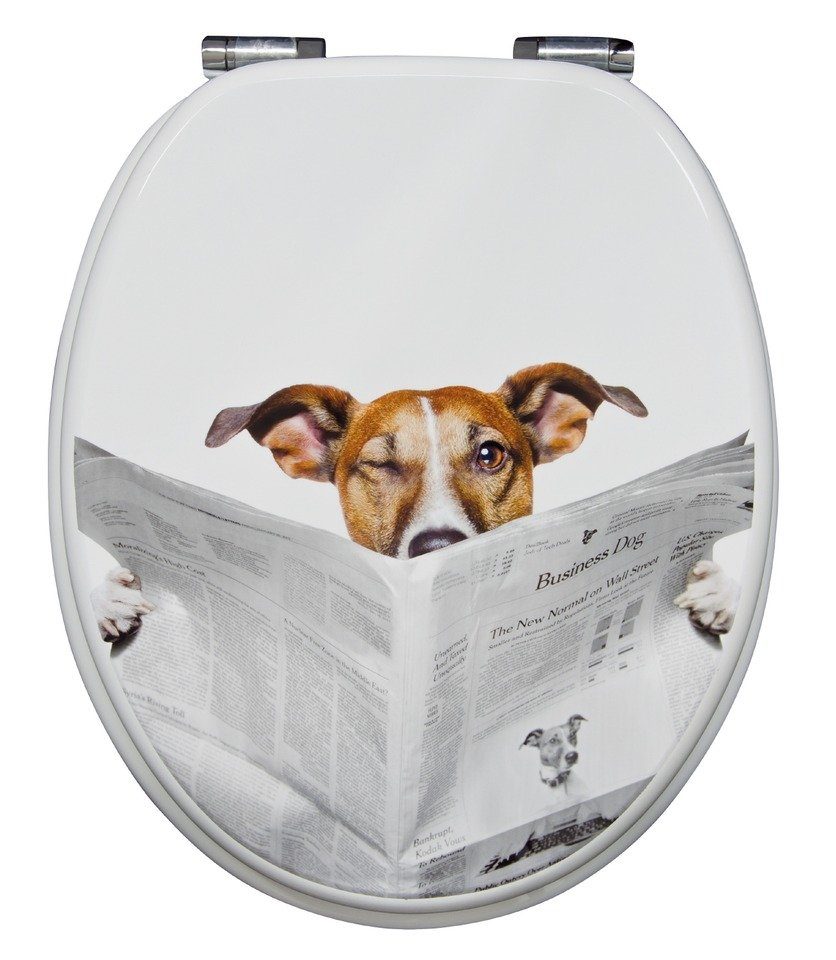 WC-Sitz »Lesestoff«, Mit Absenkautomatik, WC-Sitz mit MDF-Holzkern