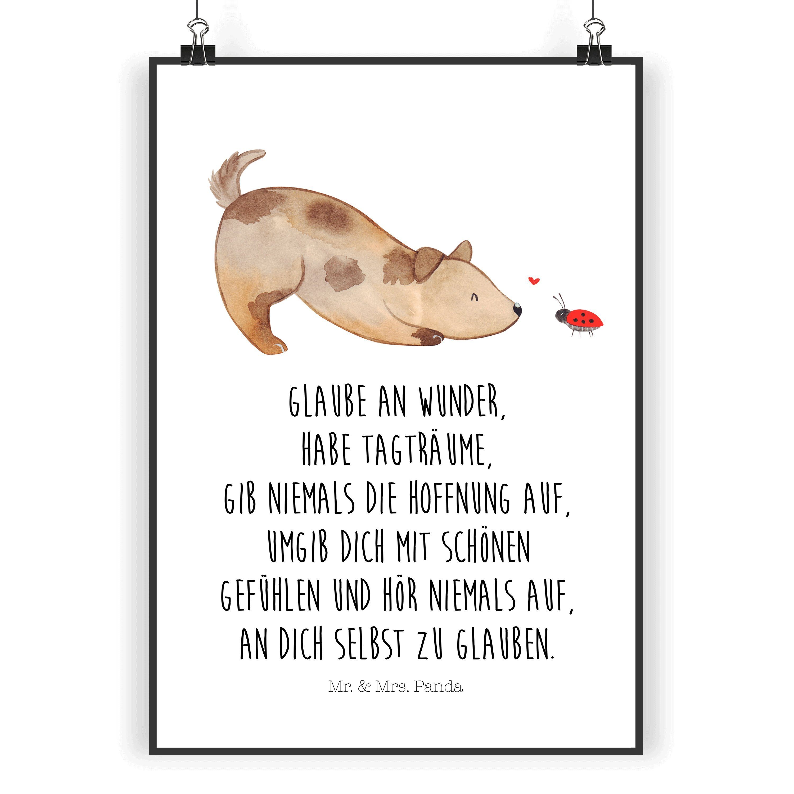 Poster DIN A5 Hund Marienkäfer - Weiß - Geschenk, Posterdruck, Sprüche, Wand