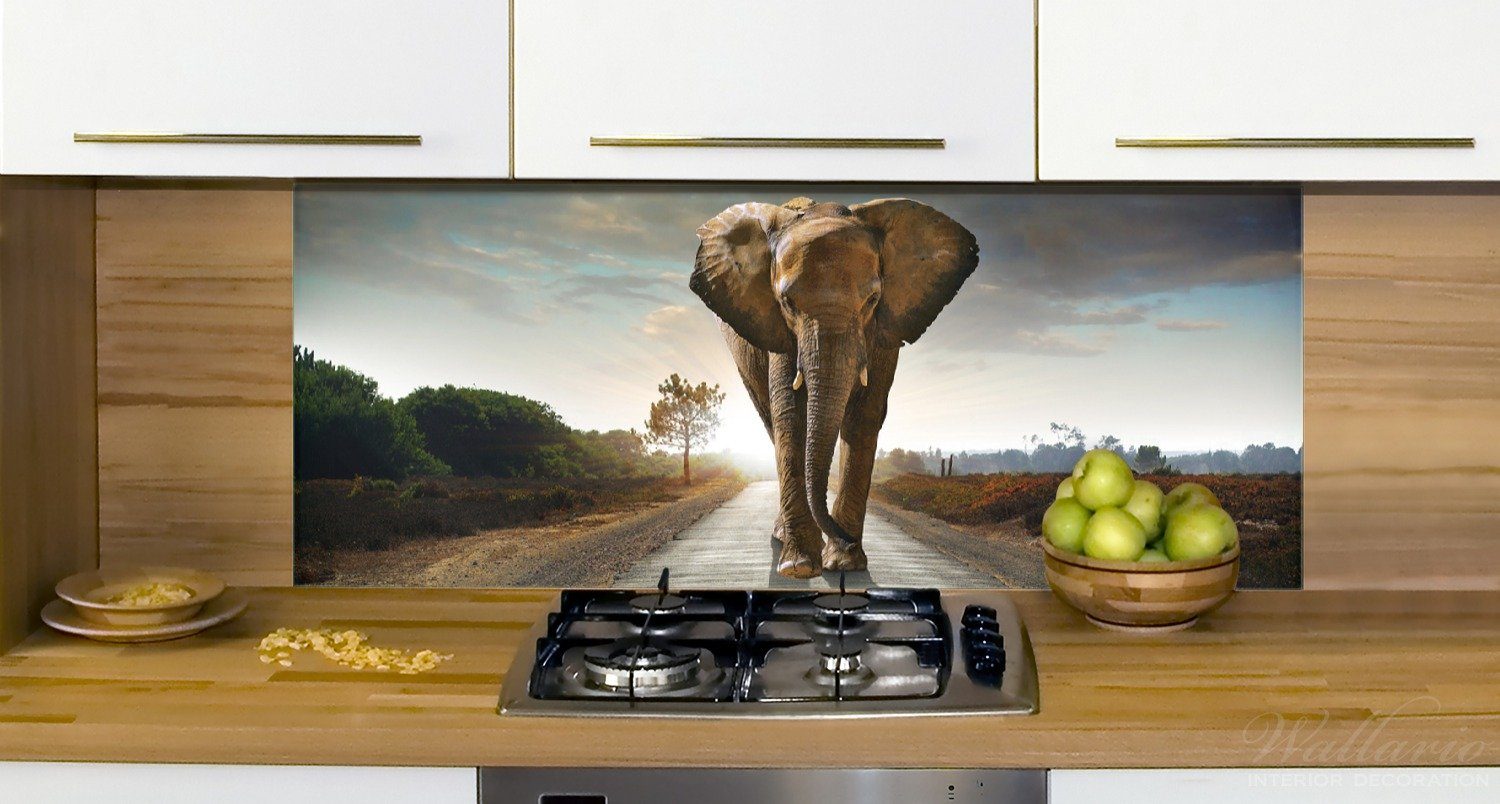 Wallario Küchenrückwand Elefant bei Sonnenaufgang Afrika, (1-tlg) in