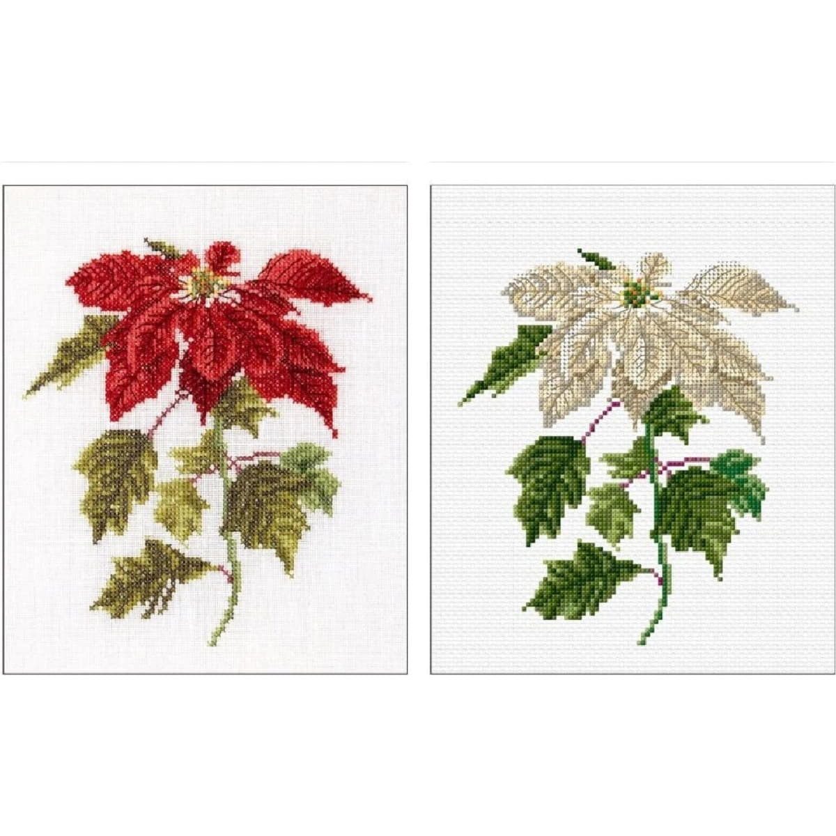 Thea Gouverneur Kreativset Thea Gouverneur geteld kruissteekpakket "Poinsettia Aida", 22x38cm, (embroidery kit by Marussia)