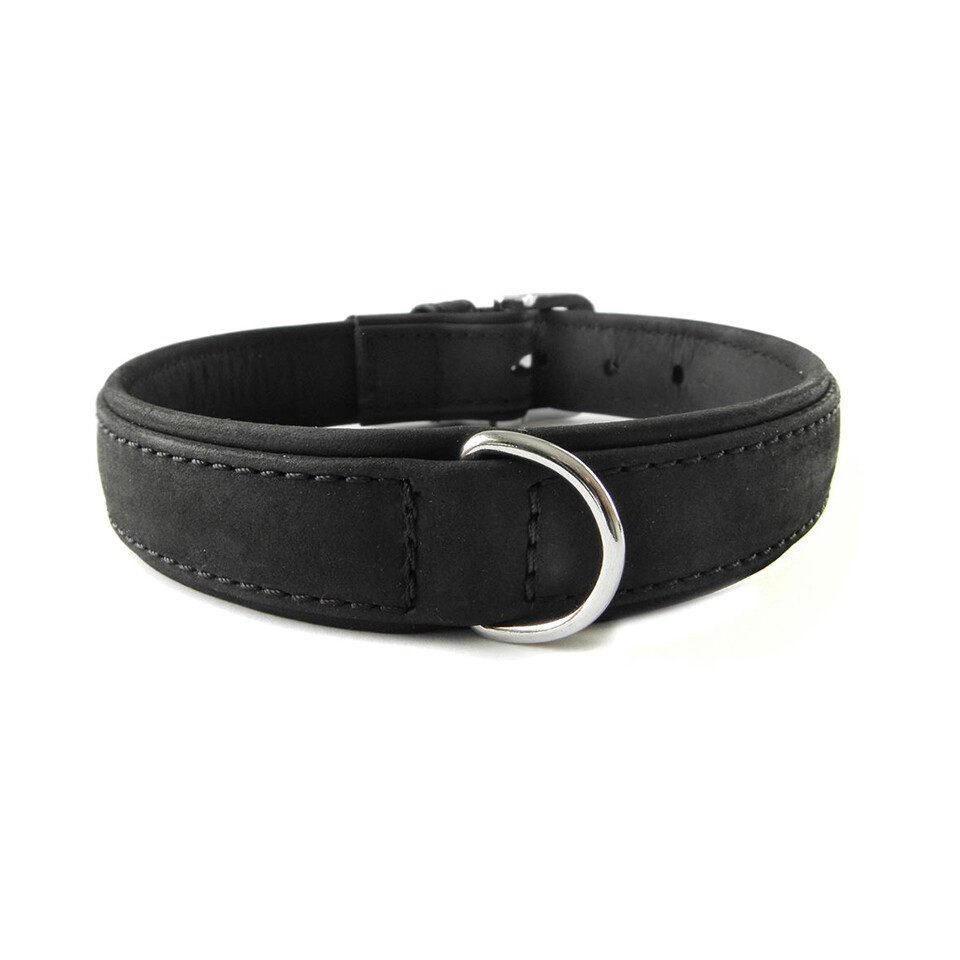 Das Lederband Hunde-Halsband Hundehalsband Boston schwarz/schwarz